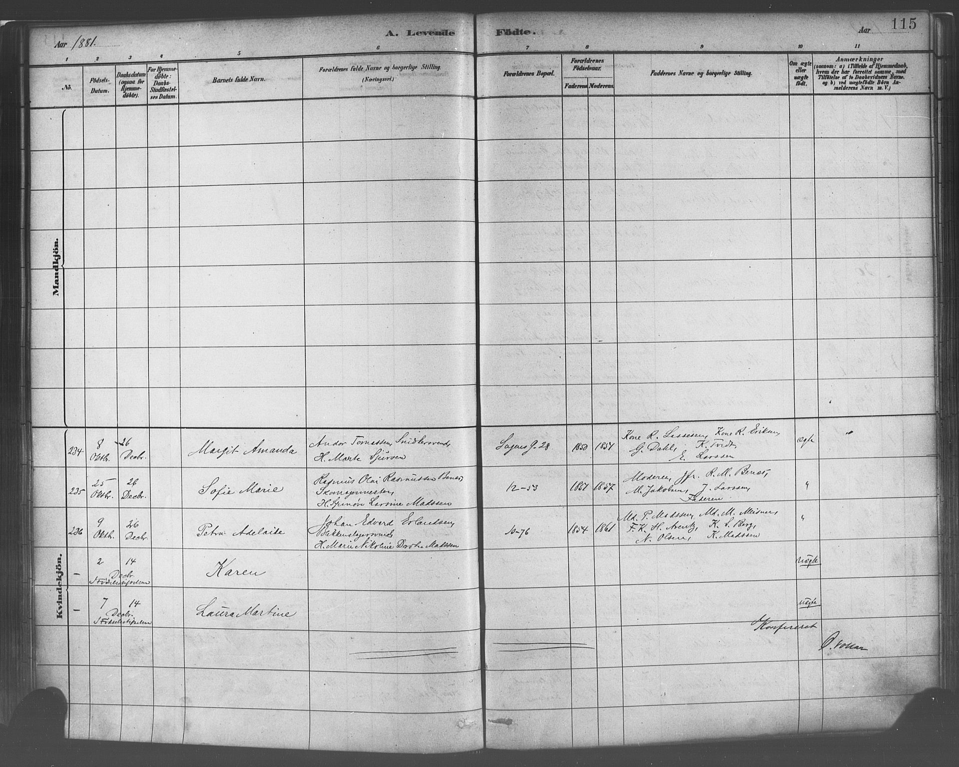 Domkirken sokneprestembete, AV/SAB-A-74801/H/Haa/L0023: Ministerialbok nr. B 6, 1879-1887, s. 115