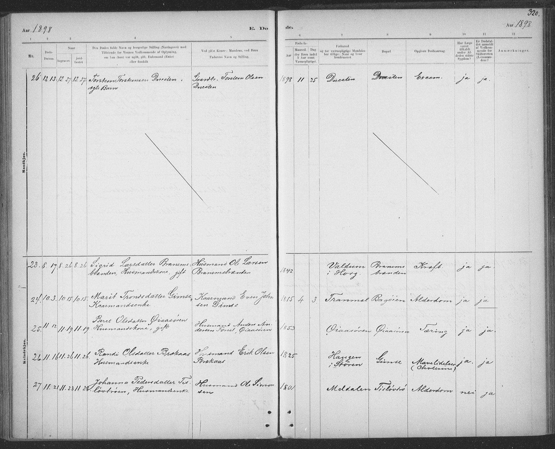 Ministerialprotokoller, klokkerbøker og fødselsregistre - Sør-Trøndelag, SAT/A-1456/691/L1085: Ministerialbok nr. 691A17, 1887-1908, s. 320