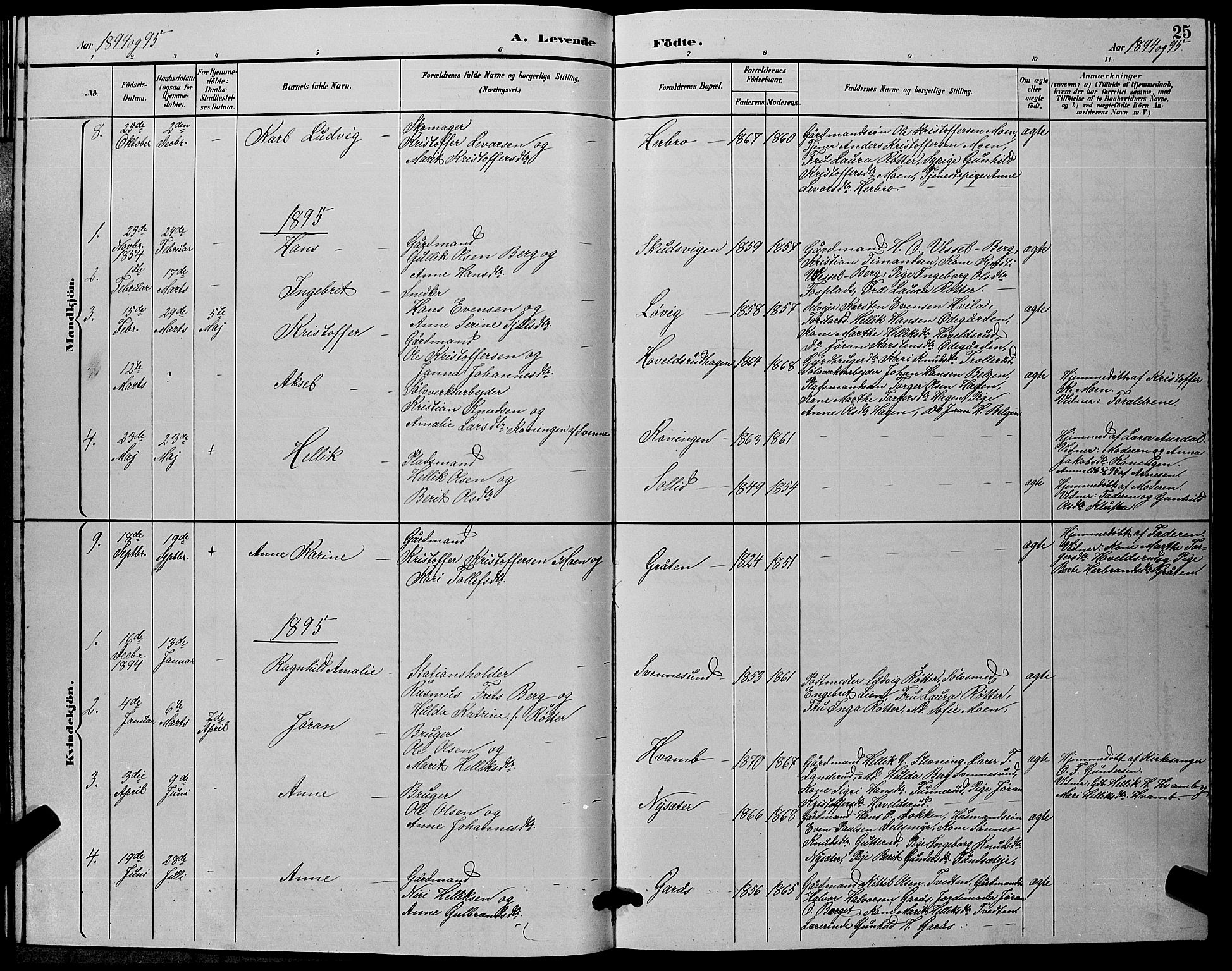 Flesberg kirkebøker, SAKO/A-18/G/Ga/L0004: Klokkerbok nr. I 4 /2, 1890-1898, s. 25
