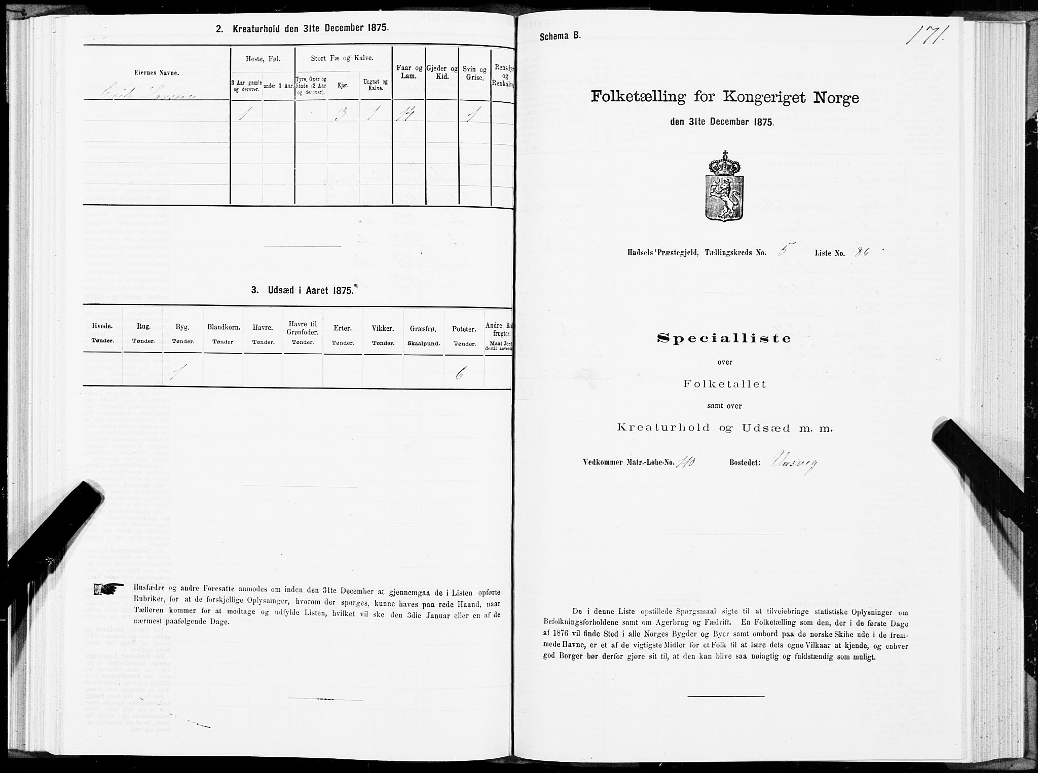 SAT, Folketelling 1875 for 1866P Hadsel prestegjeld, 1875, s. 3171