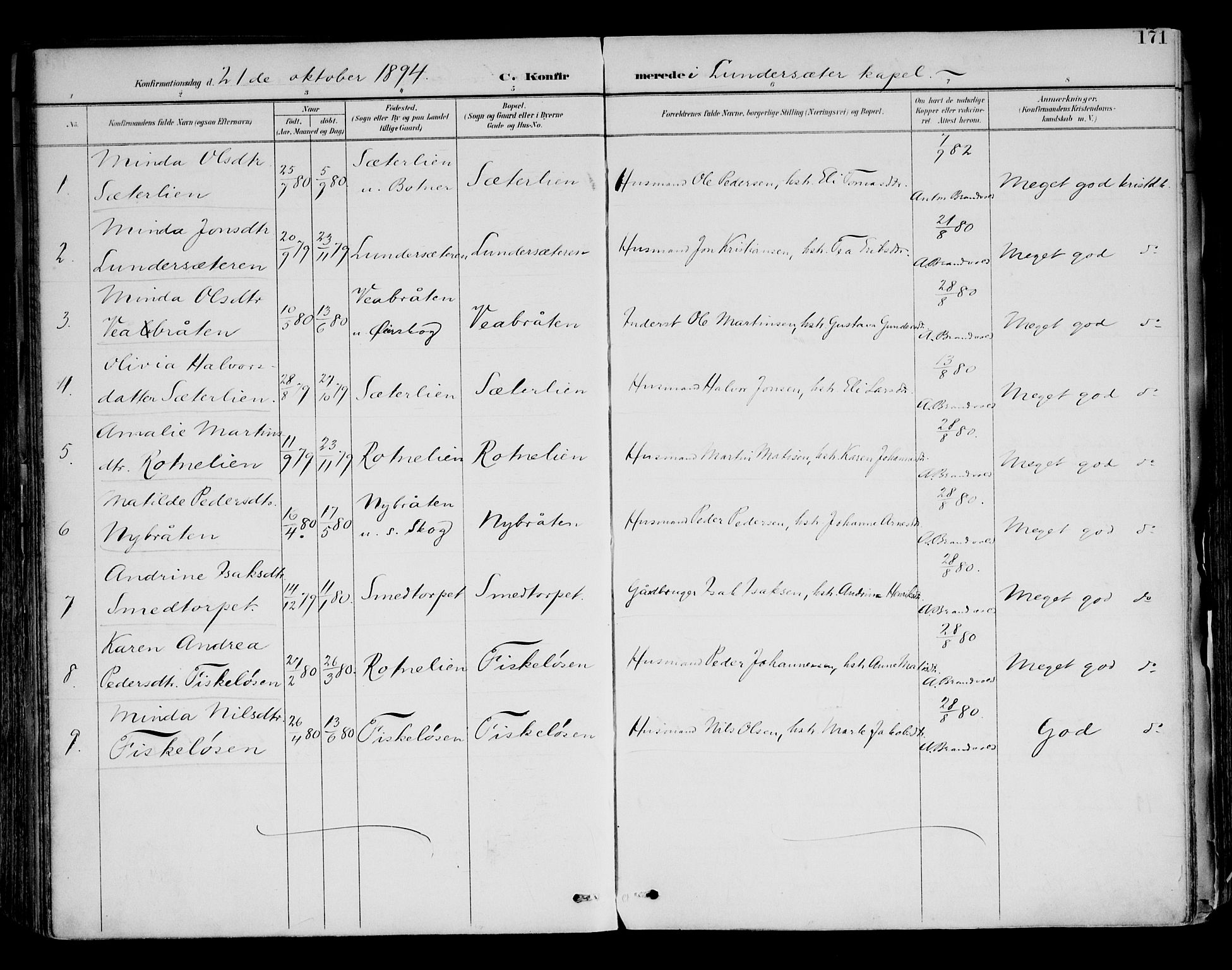 Brandval prestekontor, AV/SAH-PREST-034/H/Ha/Haa/L0003: Ministerialbok nr. 3, 1894-1909, s. 171