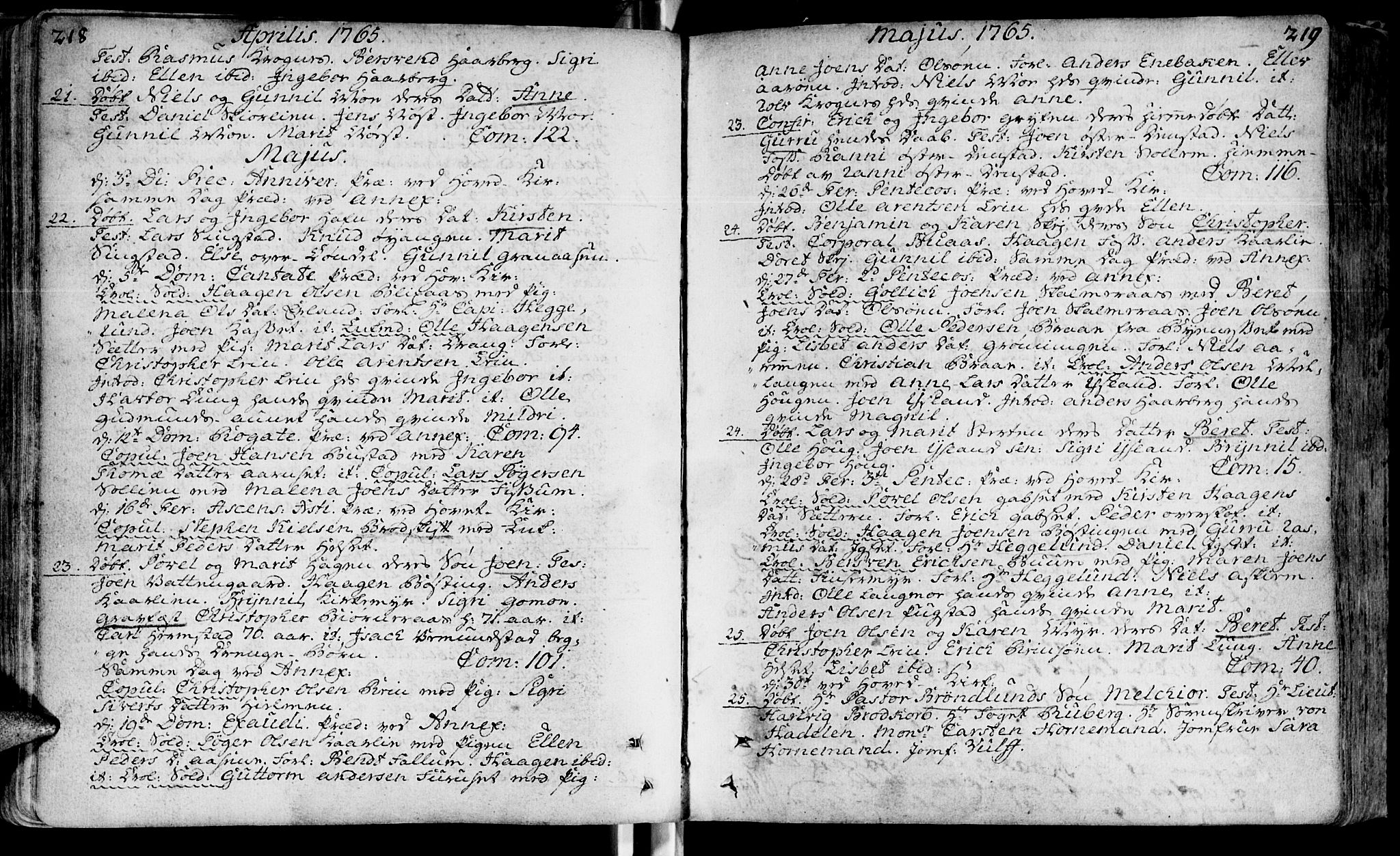 Ministerialprotokoller, klokkerbøker og fødselsregistre - Sør-Trøndelag, SAT/A-1456/646/L0605: Ministerialbok nr. 646A03, 1751-1790, s. 218-219