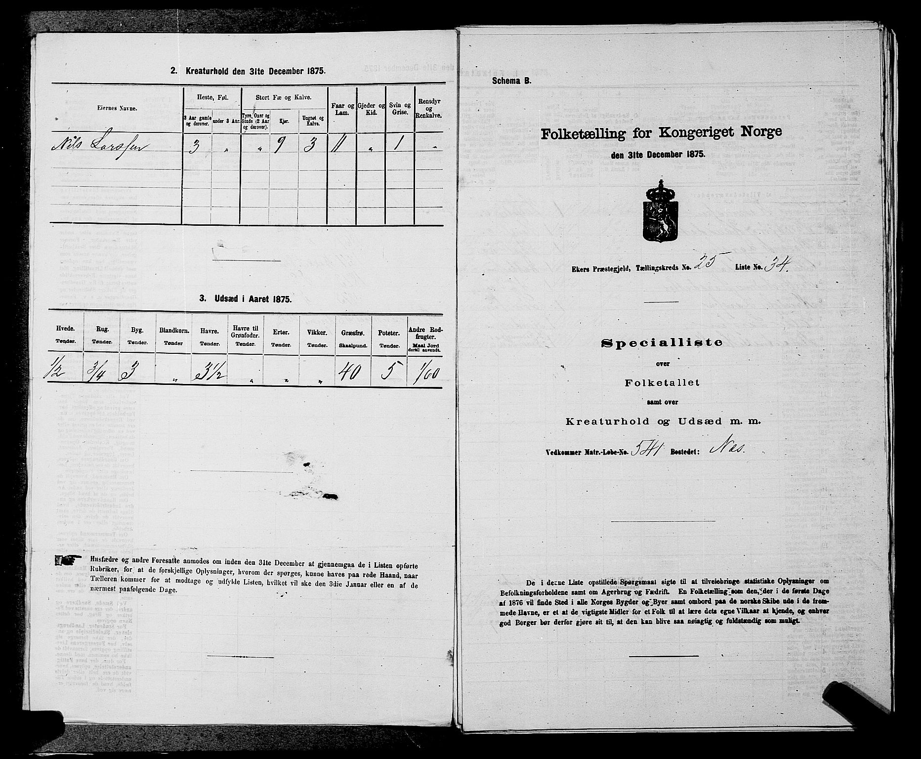 SAKO, Folketelling 1875 for 0624P Eiker prestegjeld, 1875, s. 4316