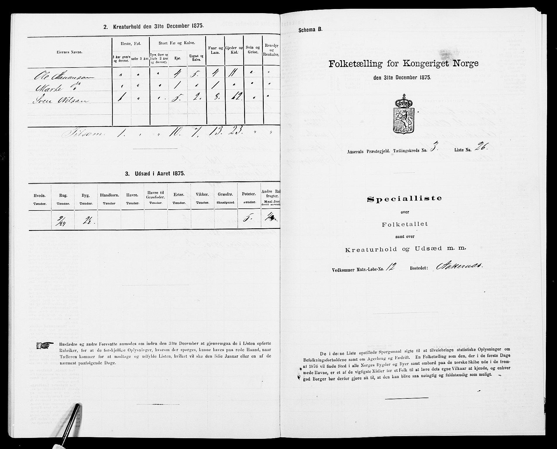 SAK, Folketelling 1875 for 0980P Åseral prestegjeld, 1875, s. 271