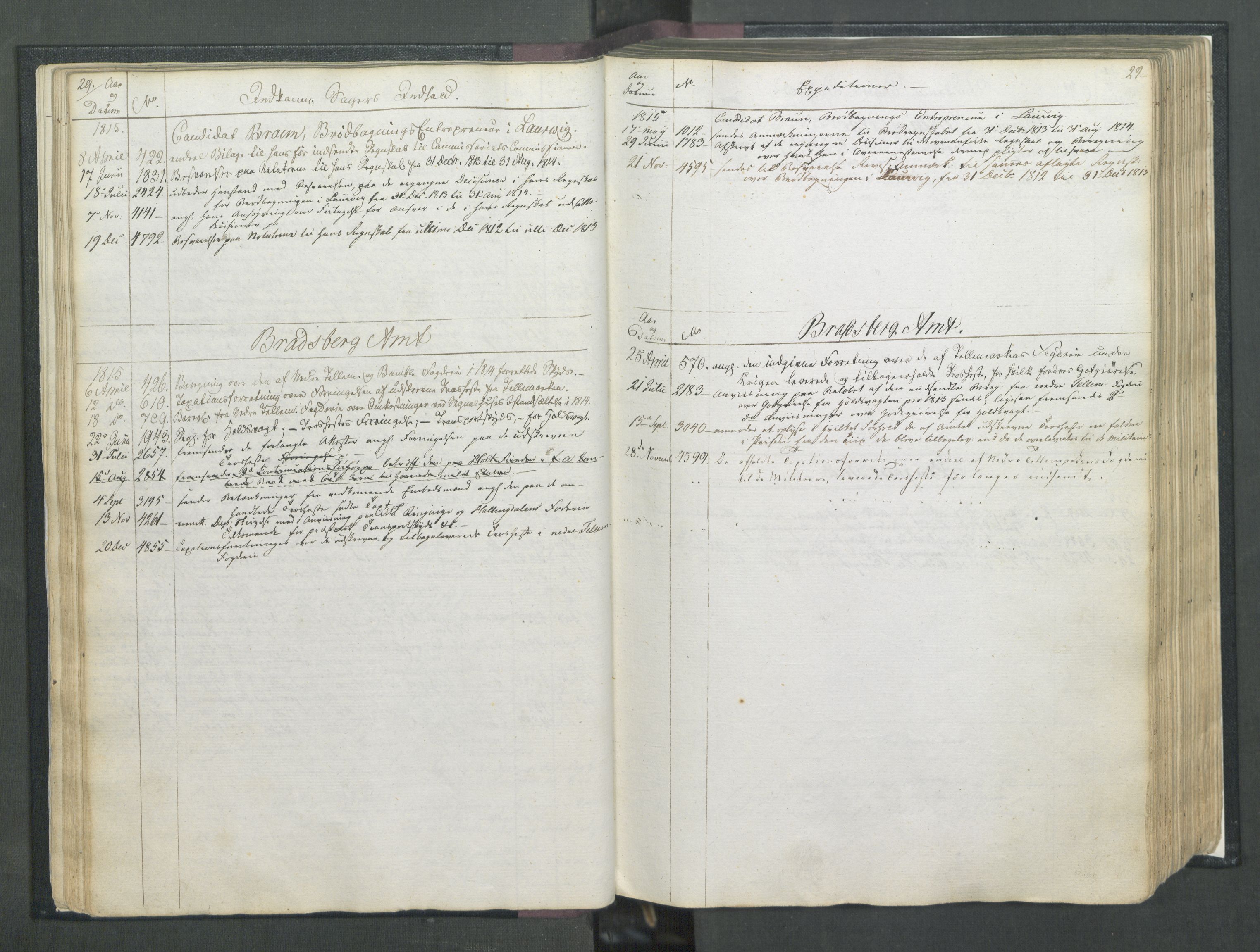 Armédepartementet, AV/RA-RAFA-3493/C/Ca/L0007: 6. Departements Register, 1815, s. 29