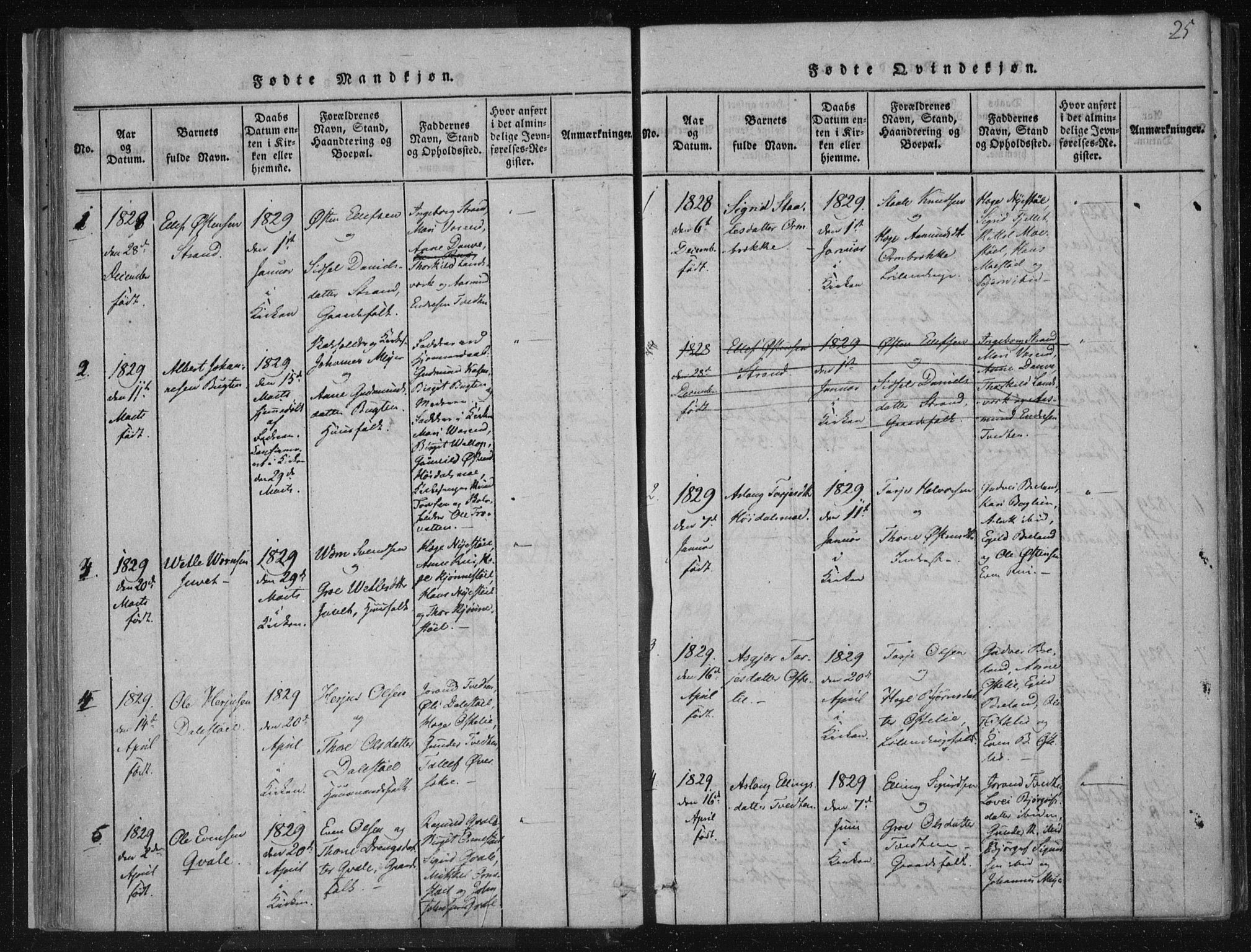 Lårdal kirkebøker, SAKO/A-284/F/Fc/L0001: Ministerialbok nr. III 1, 1815-1860, s. 25