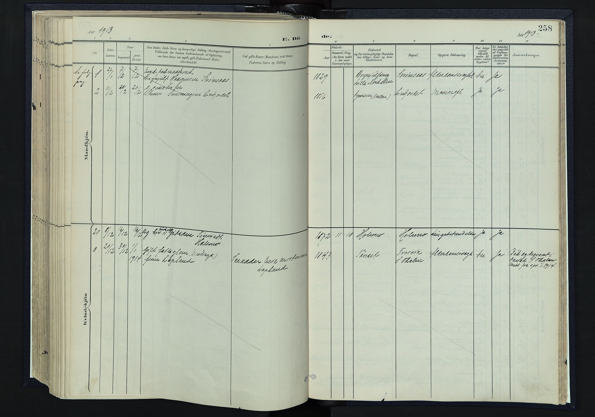 Tynset prestekontor, SAH/PREST-058/H/Ha/Haa/L0025: Ministerialbok nr. 25, 1900-1914, s. 258