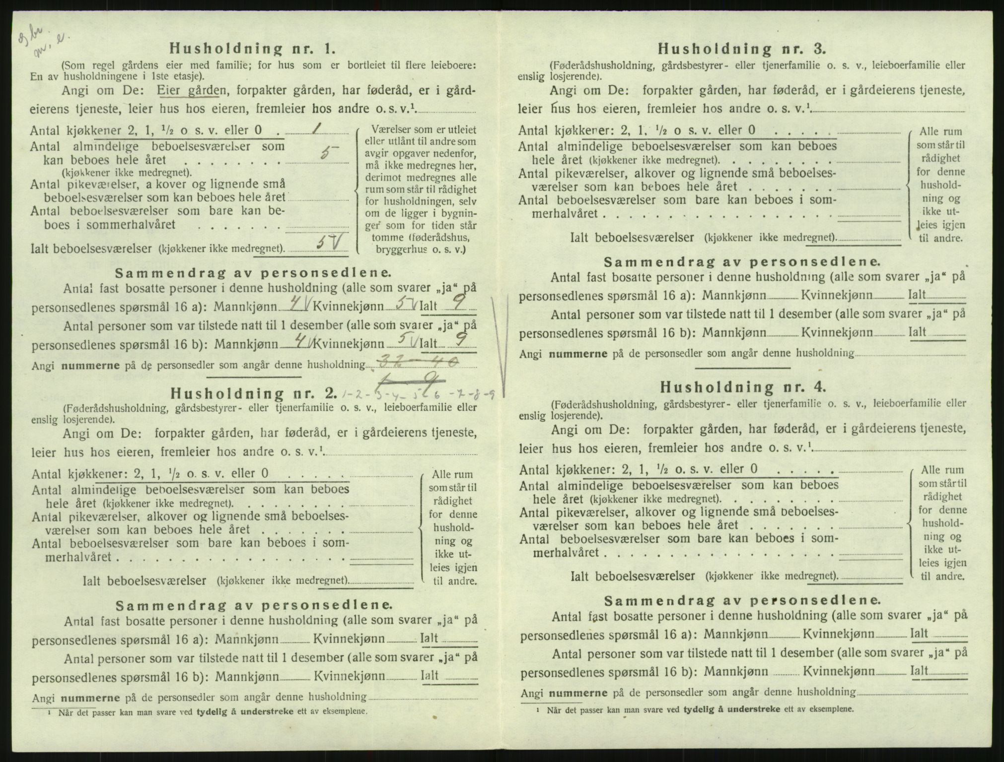 SAK, Folketelling 1920 for 0936 Hornnes herred, 1920, s. 104