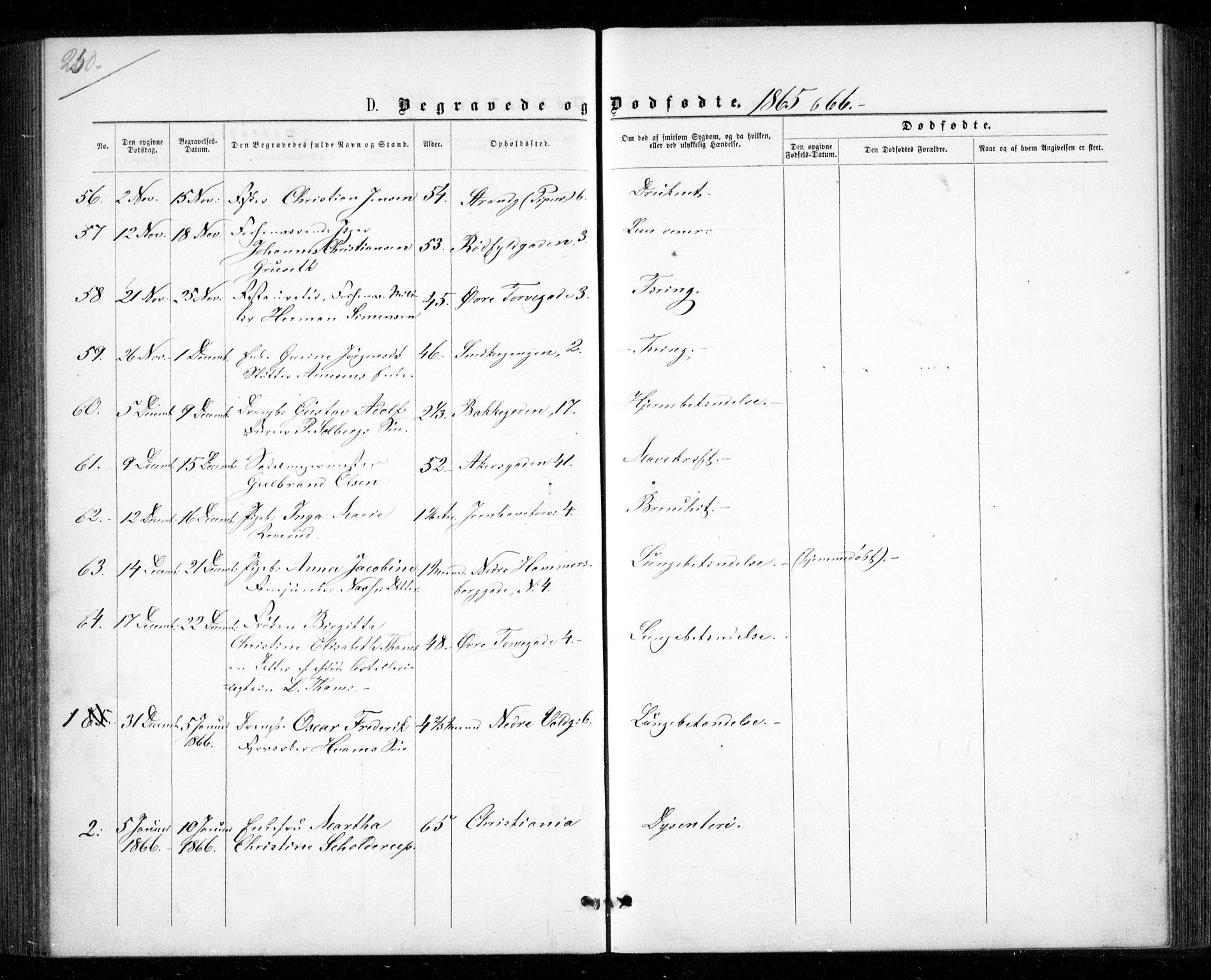 Garnisonsmenigheten Kirkebøker, AV/SAO-A-10846/G/Ga/L0006: Klokkerbok nr. 6, 1860-1880, s. 250