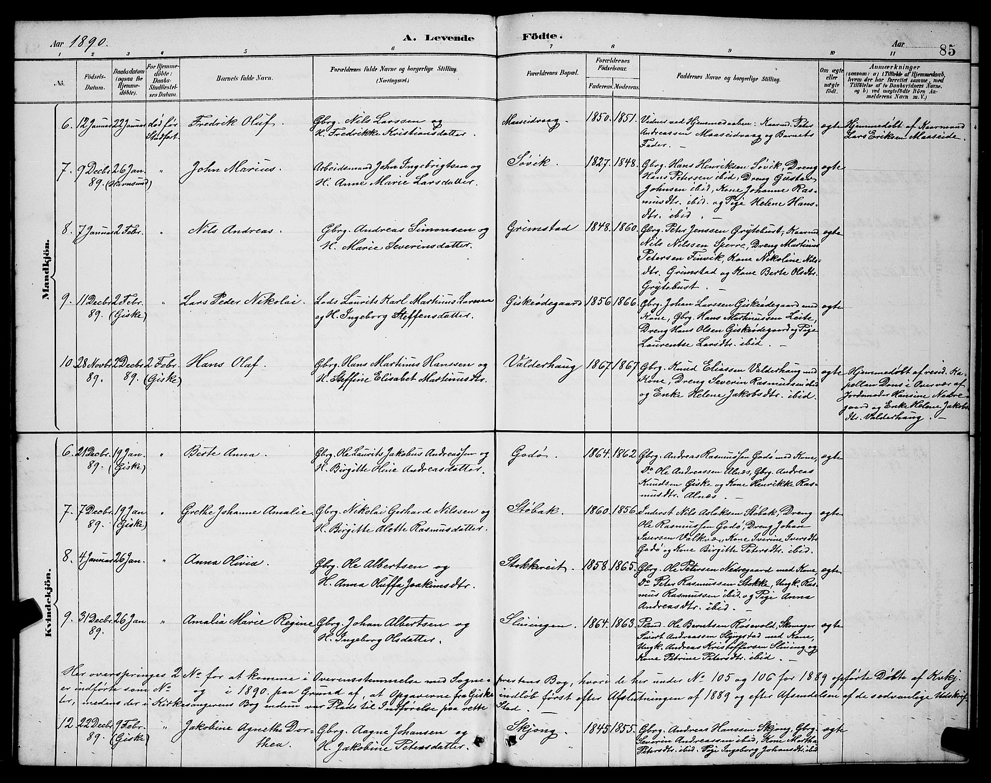 Ministerialprotokoller, klokkerbøker og fødselsregistre - Møre og Romsdal, AV/SAT-A-1454/528/L0431: Klokkerbok nr. 528C12, 1885-1898, s. 85