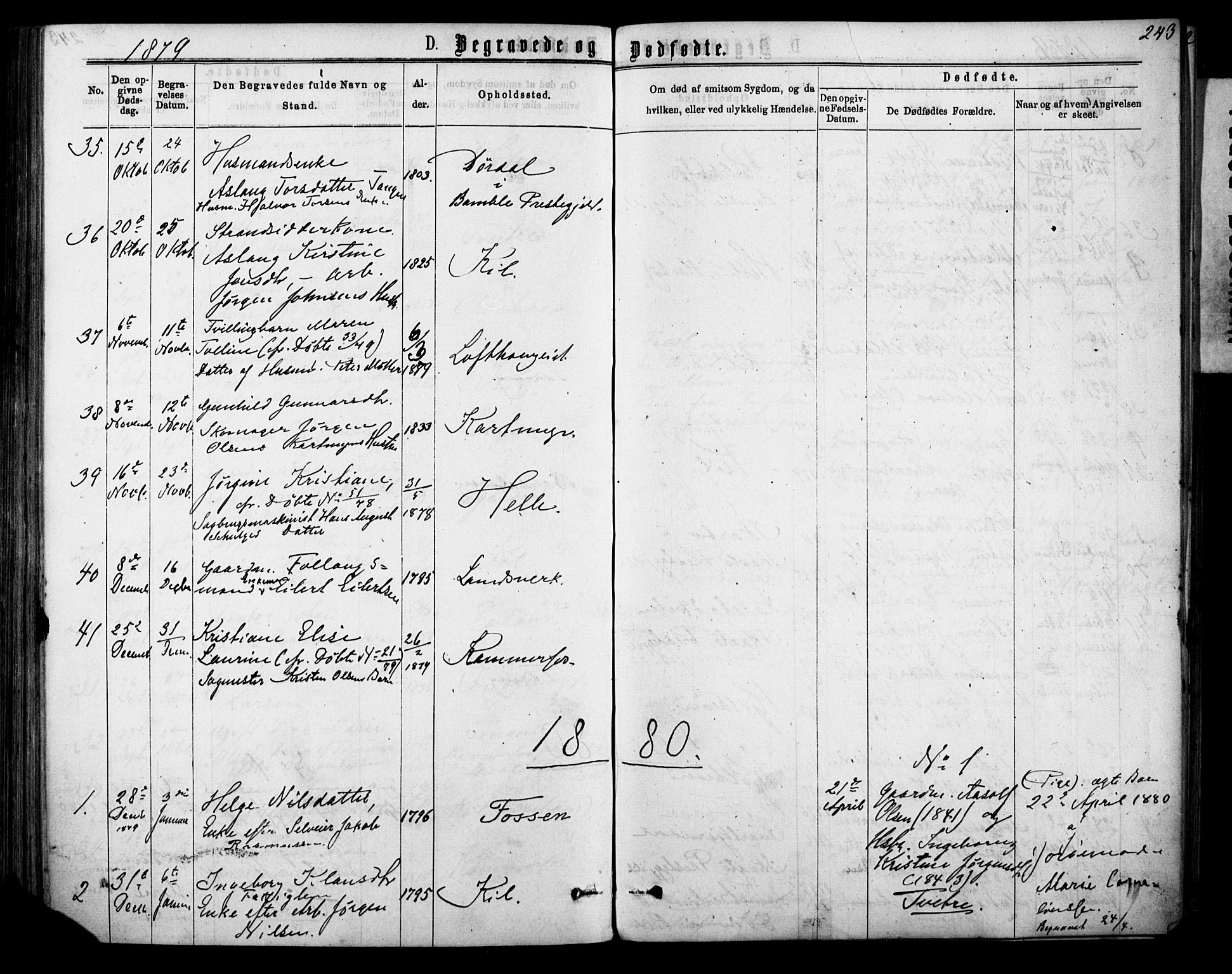 Sannidal kirkebøker, AV/SAKO-A-296/F/Fa/L0014: Ministerialbok nr. 14, 1874-1883, s. 243