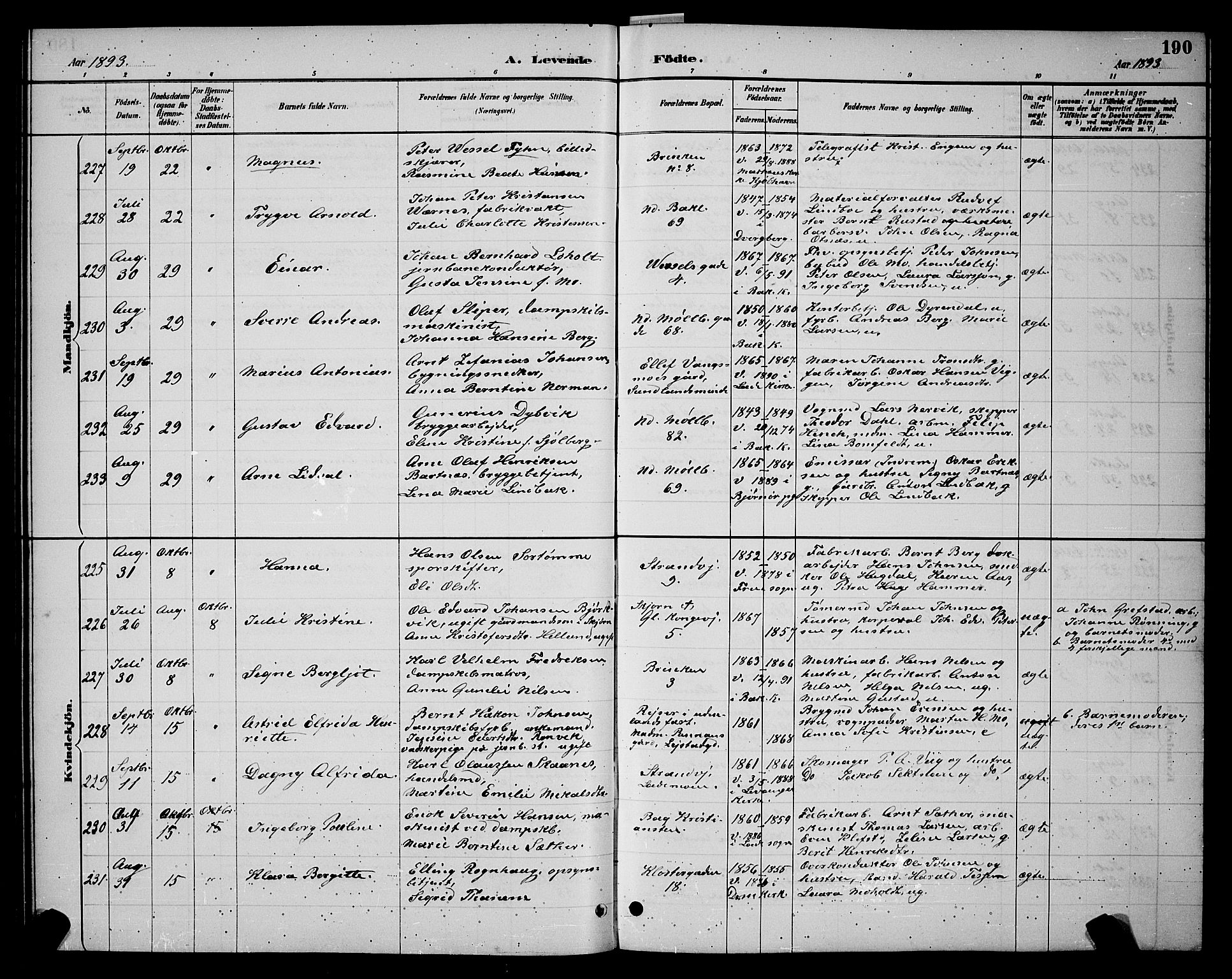 Ministerialprotokoller, klokkerbøker og fødselsregistre - Sør-Trøndelag, SAT/A-1456/604/L0222: Klokkerbok nr. 604C05, 1886-1895, s. 190