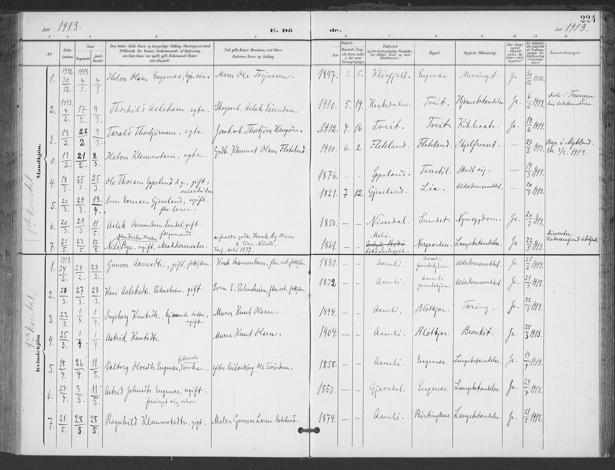 Åmli sokneprestkontor, AV/SAK-1111-0050/F/Fa/Fac/L0012: Ministerialbok nr. A 12, 1900-1914, s. 224