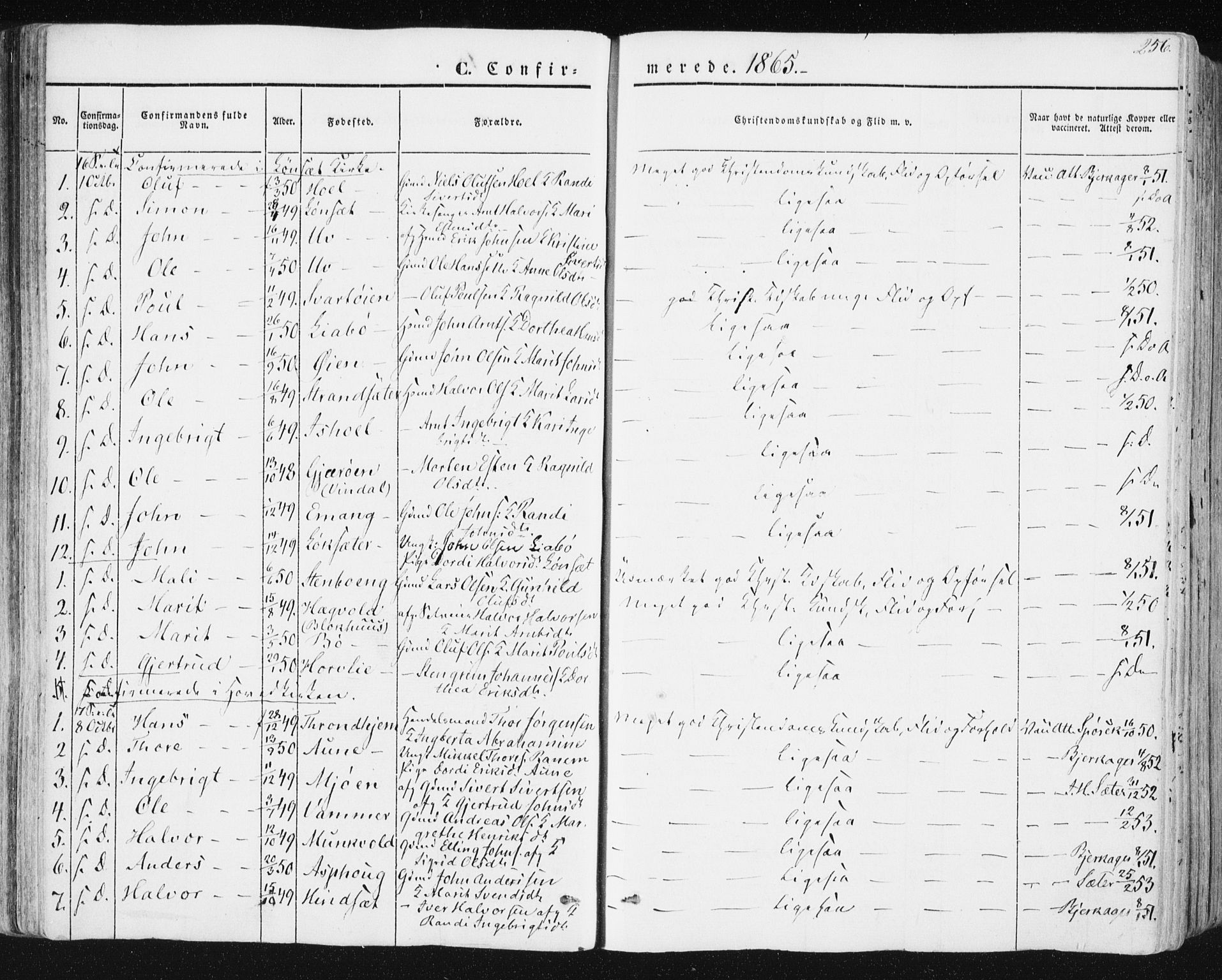 Ministerialprotokoller, klokkerbøker og fødselsregistre - Sør-Trøndelag, SAT/A-1456/678/L0899: Ministerialbok nr. 678A08, 1848-1872, s. 256