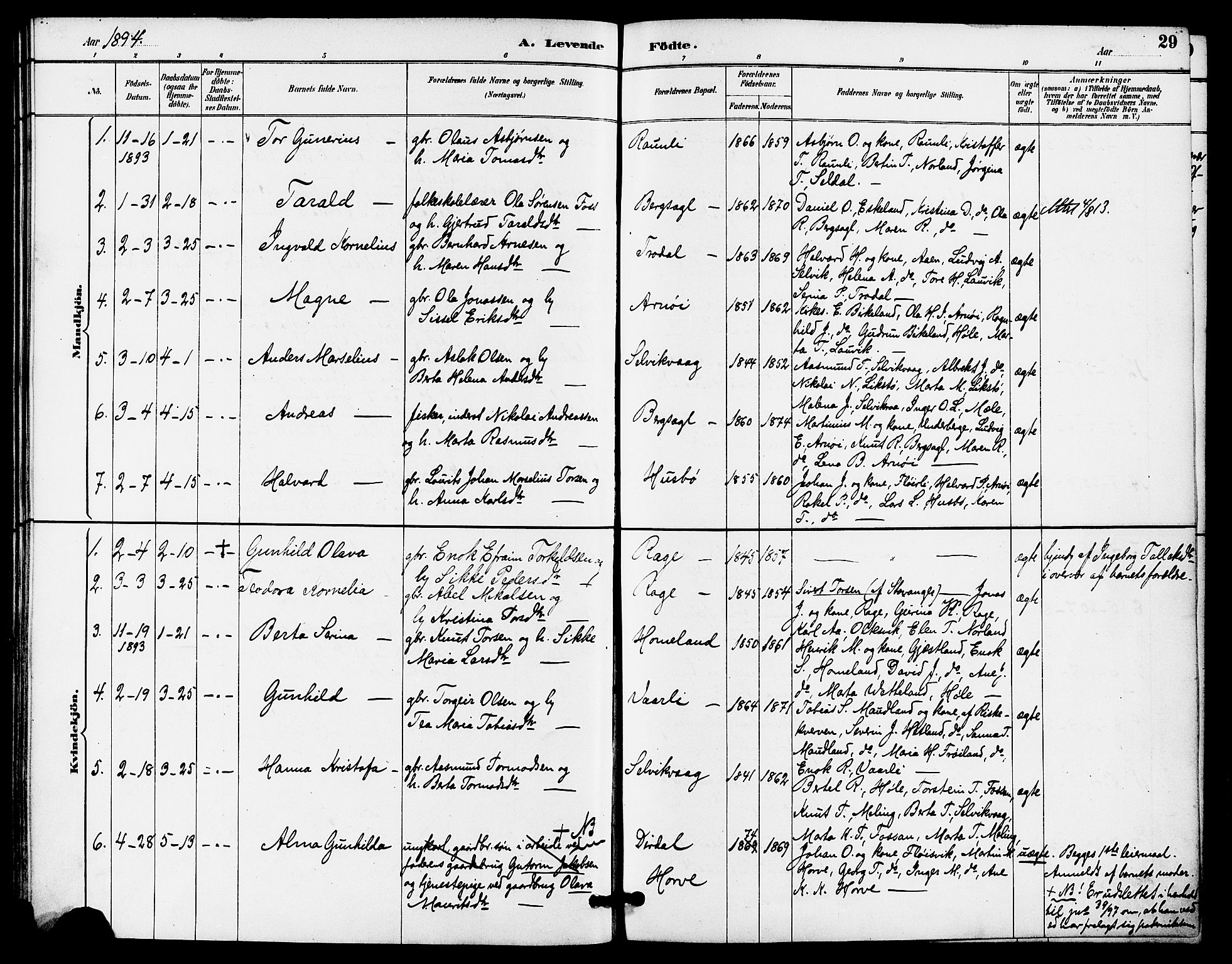 Høgsfjord sokneprestkontor, SAST/A-101624/H/Ha/Haa/L0005: Ministerialbok nr. A 5, 1885-1897, s. 29