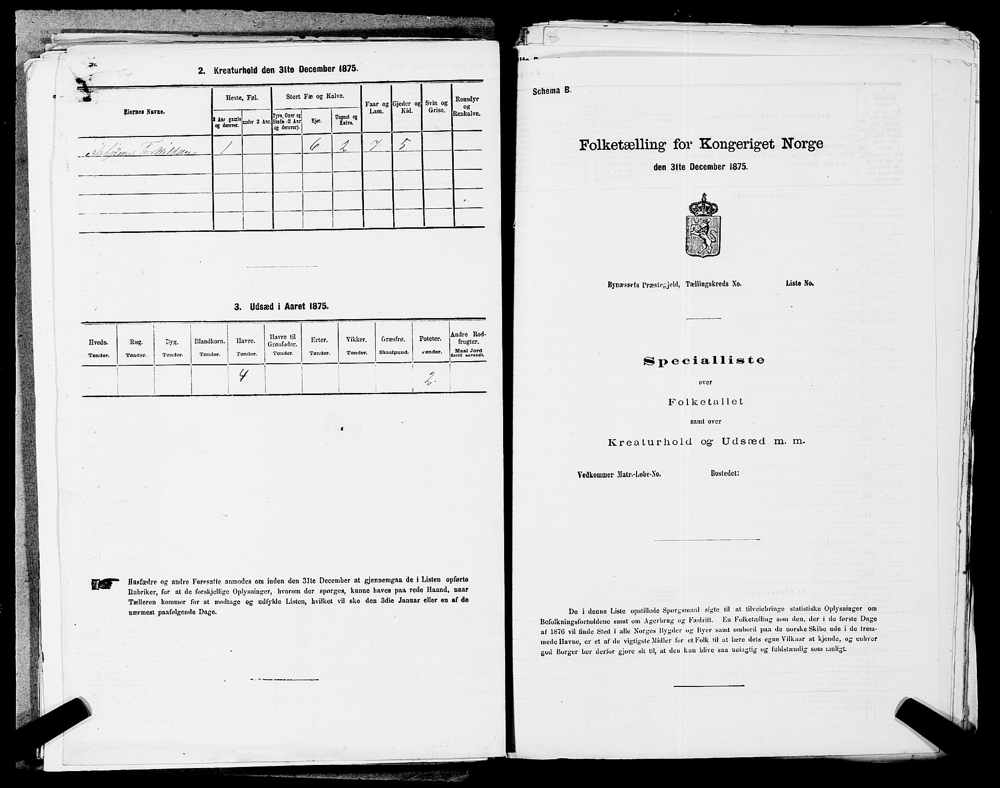 SAST, Folketelling 1875 for 1112P Lund prestegjeld, 1875, s. 733