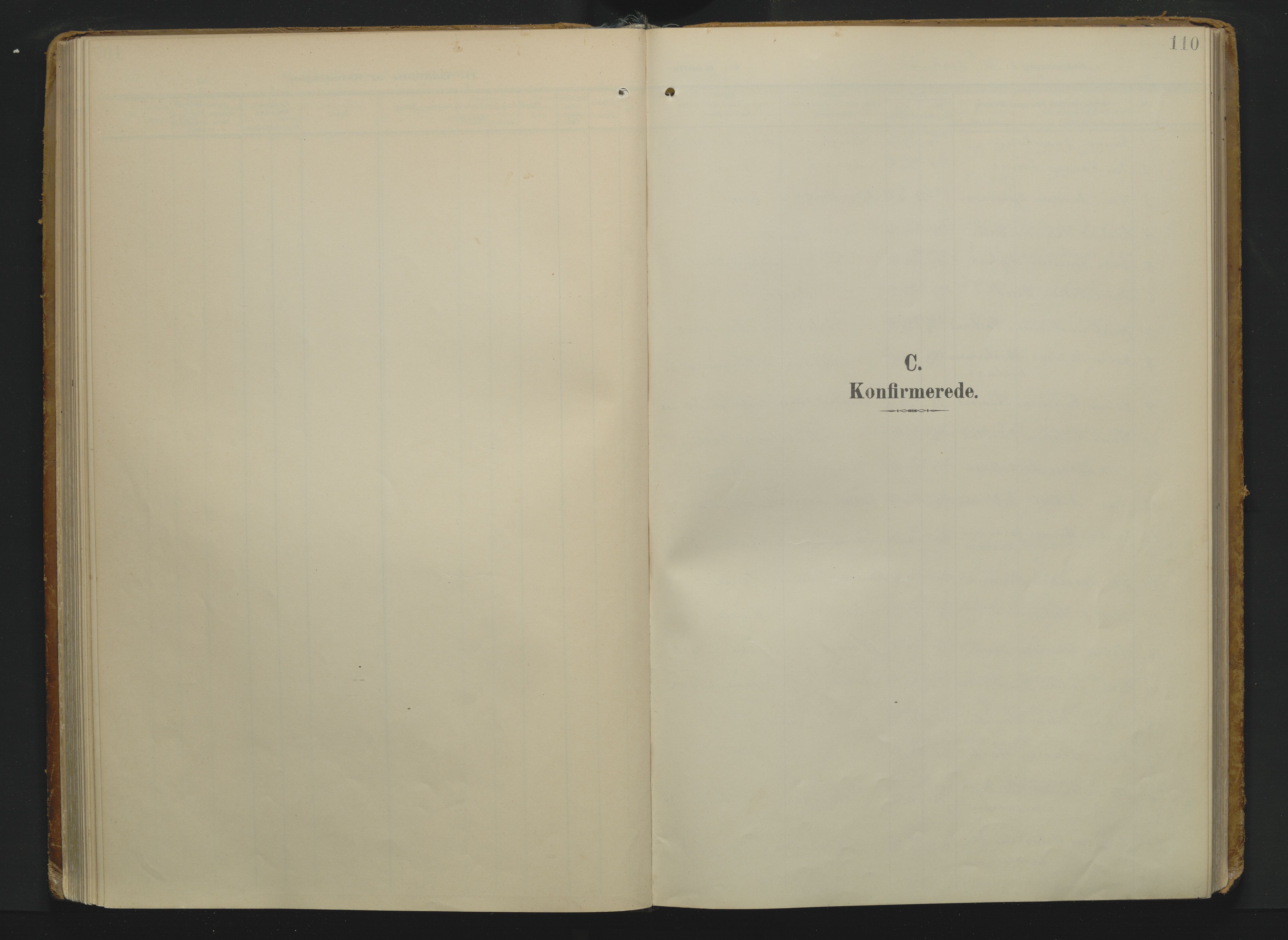 Drangedal kirkebøker, AV/SAKO-A-258/F/Fa/L0014: Ministerialbok nr. 14, 1906-1920, s. 110