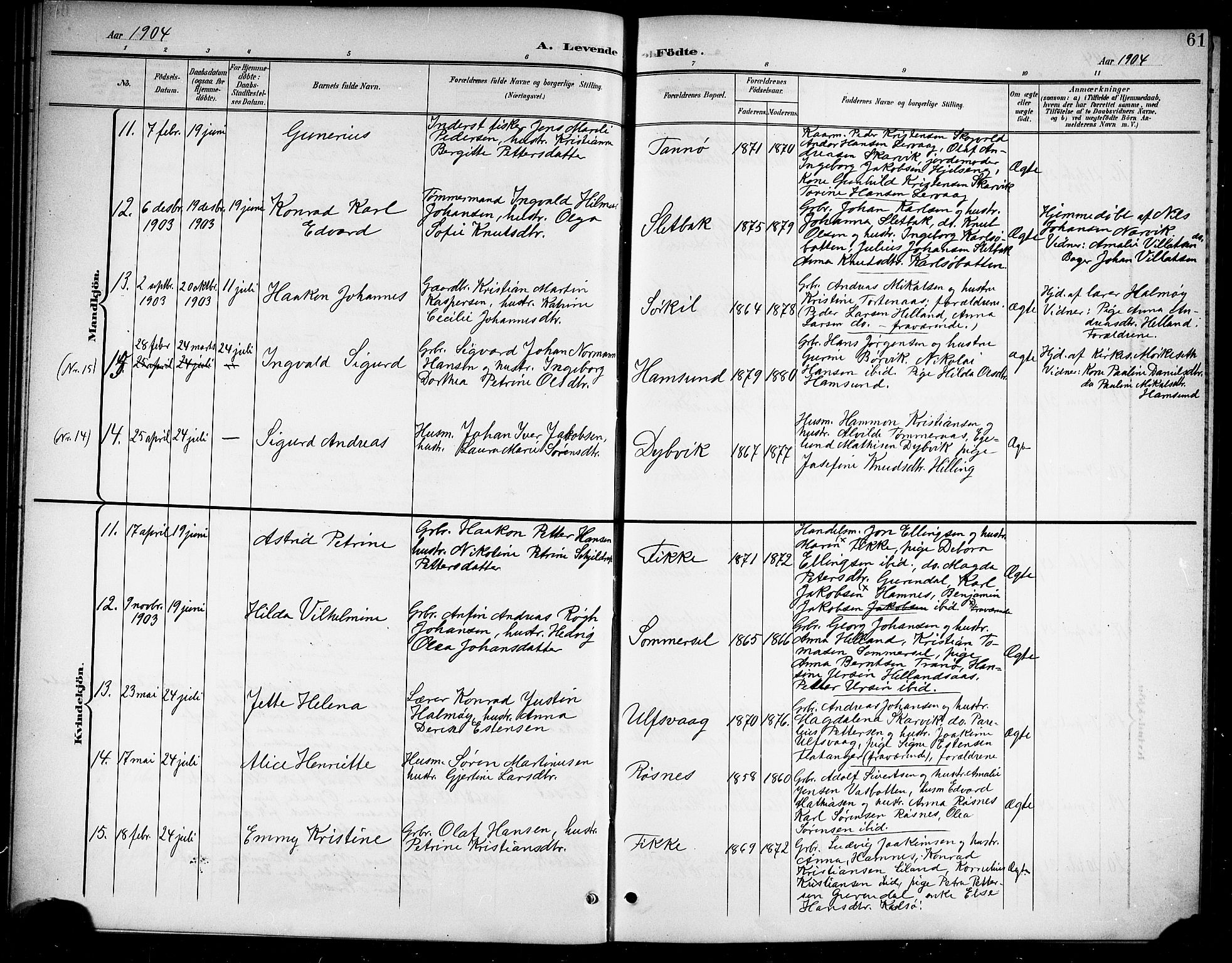 Ministerialprotokoller, klokkerbøker og fødselsregistre - Nordland, AV/SAT-A-1459/859/L0860: Klokkerbok nr. 859C06, 1899-1909, s. 61