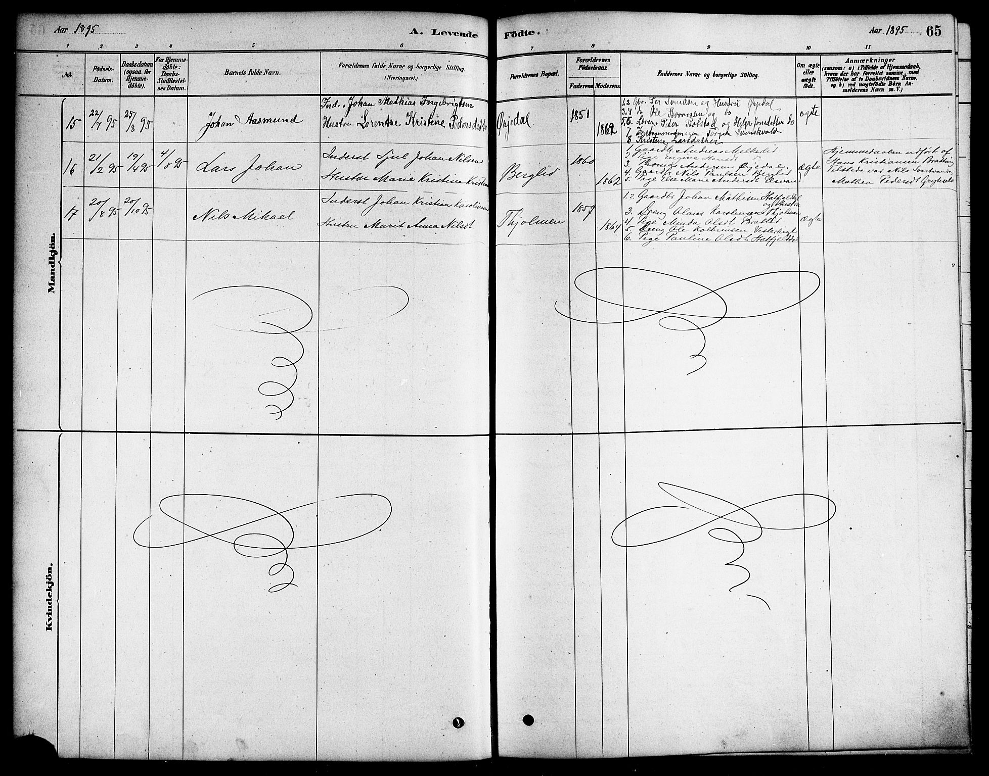 Ministerialprotokoller, klokkerbøker og fødselsregistre - Nordland, SAT/A-1459/823/L0330: Klokkerbok nr. 823C02, 1879-1916, s. 65