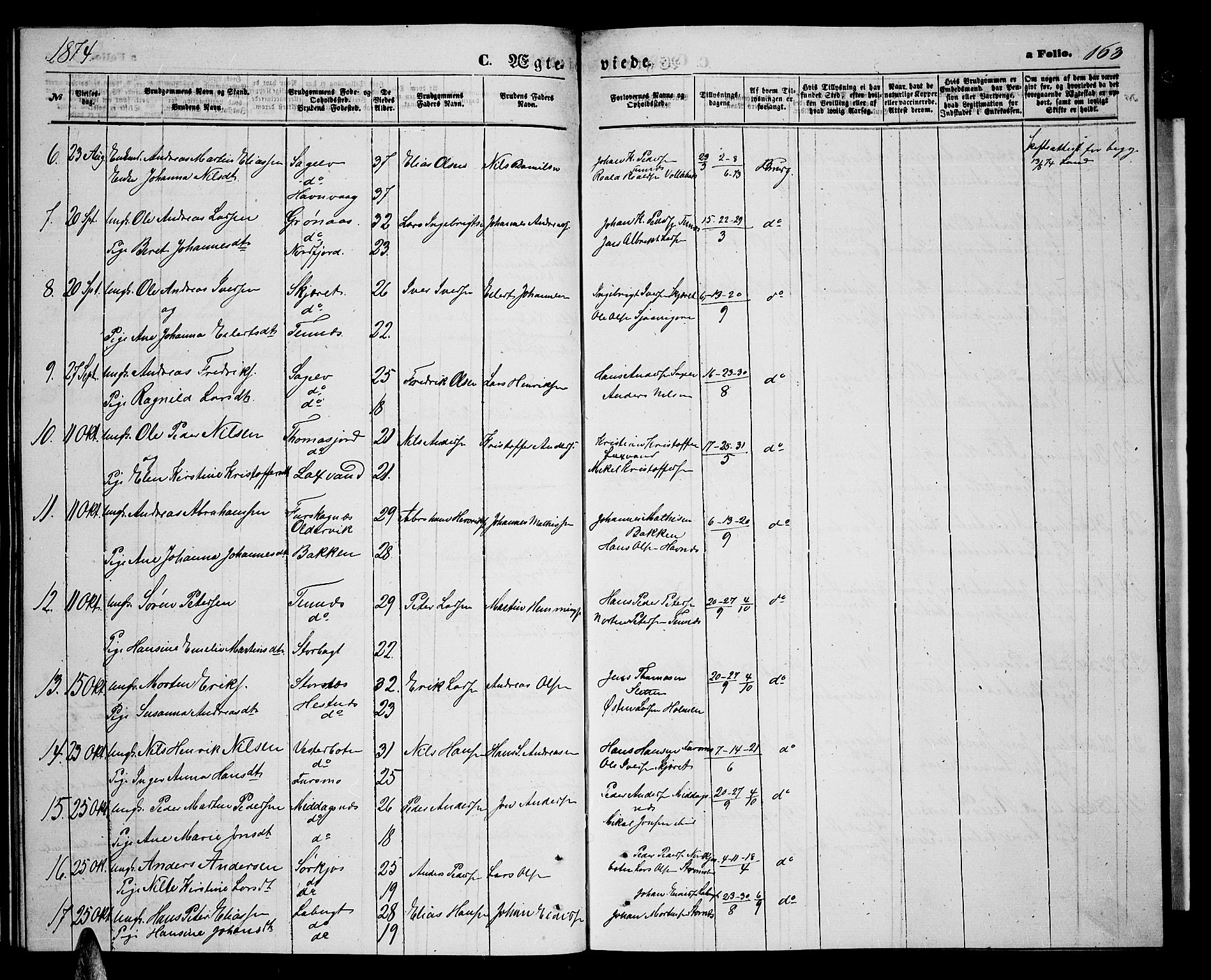 Balsfjord sokneprestembete, AV/SATØ-S-1303/G/Ga/L0006klokker: Klokkerbok nr. 6, 1863-1878, s. 163
