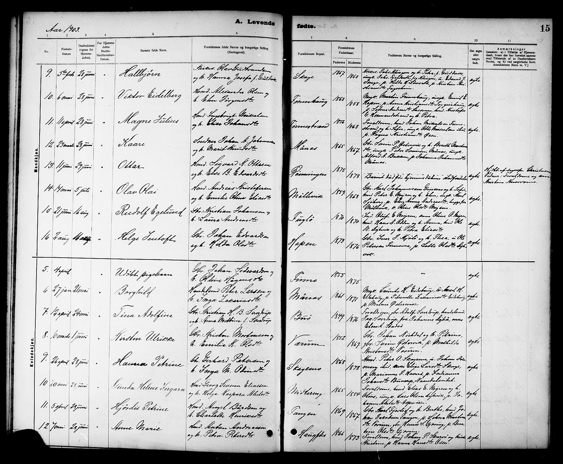 Ministerialprotokoller, klokkerbøker og fødselsregistre - Nord-Trøndelag, AV/SAT-A-1458/780/L0652: Klokkerbok nr. 780C04, 1899-1911, s. 15
