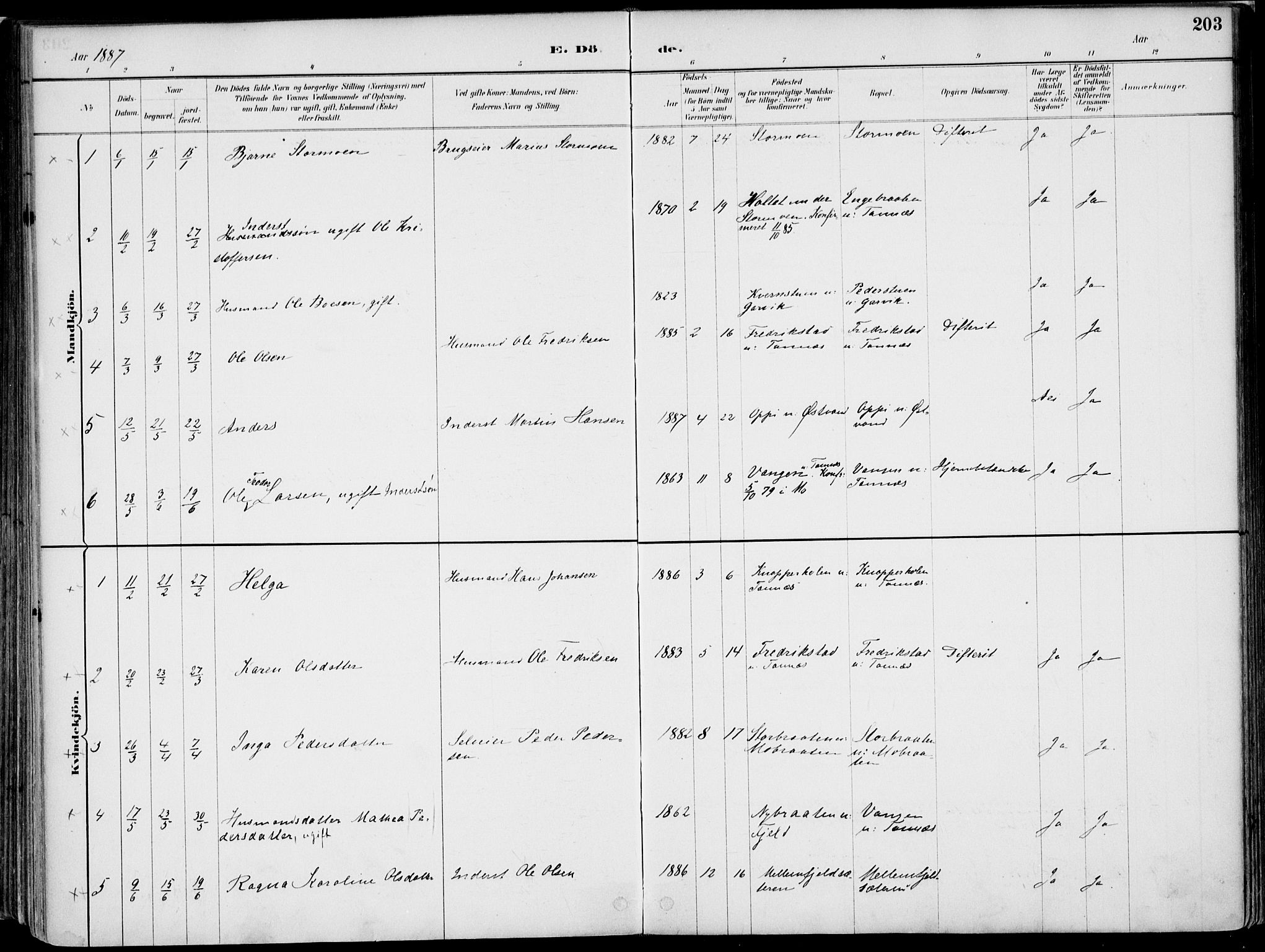 Nord-Odal prestekontor, AV/SAH-PREST-032/H/Ha/Haa/L0008: Ministerialbok nr. 8, 1886-1901, s. 203