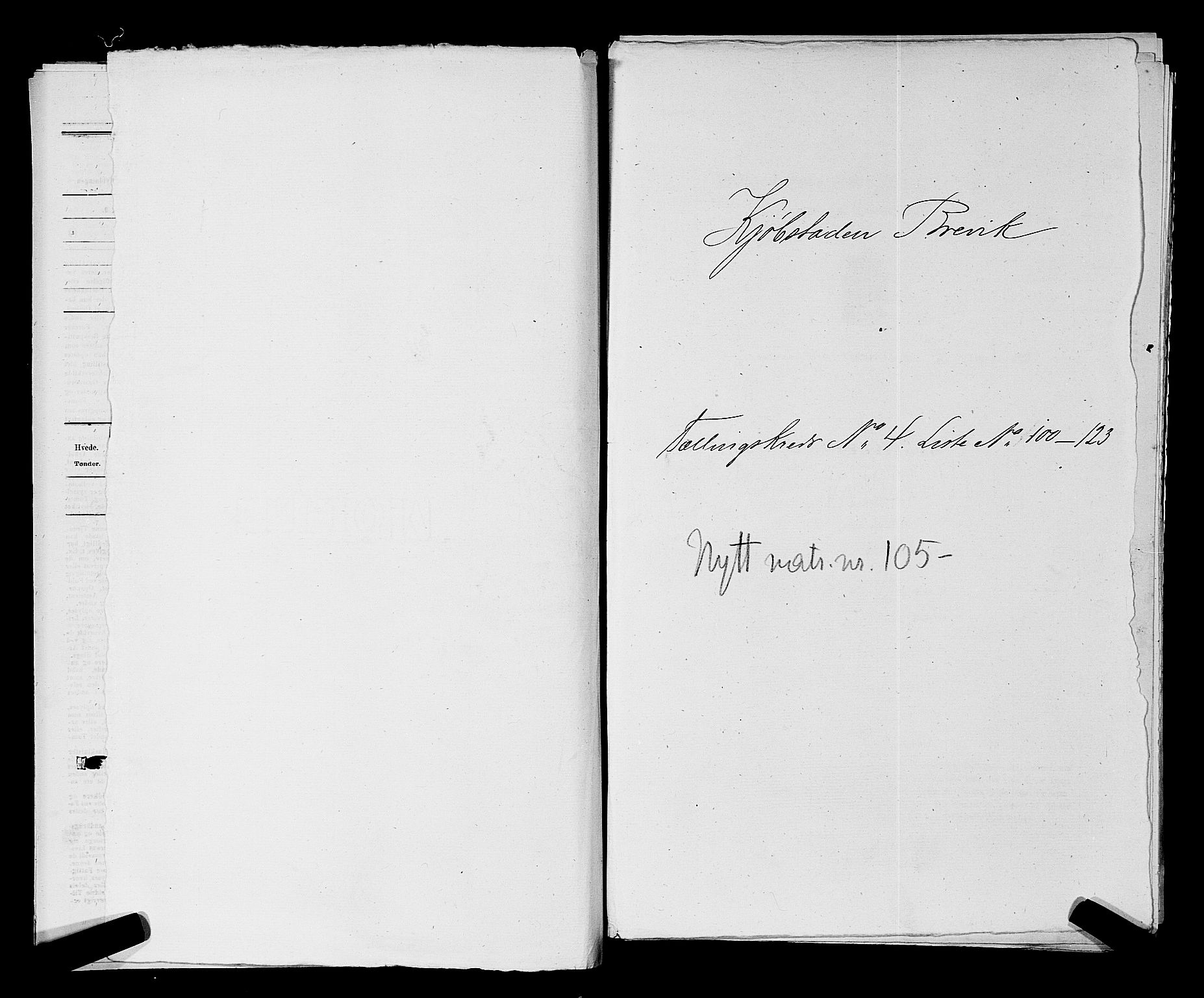 SAKO, Folketelling 1875 for 0804P Brevik prestegjeld, 1875, s. 235