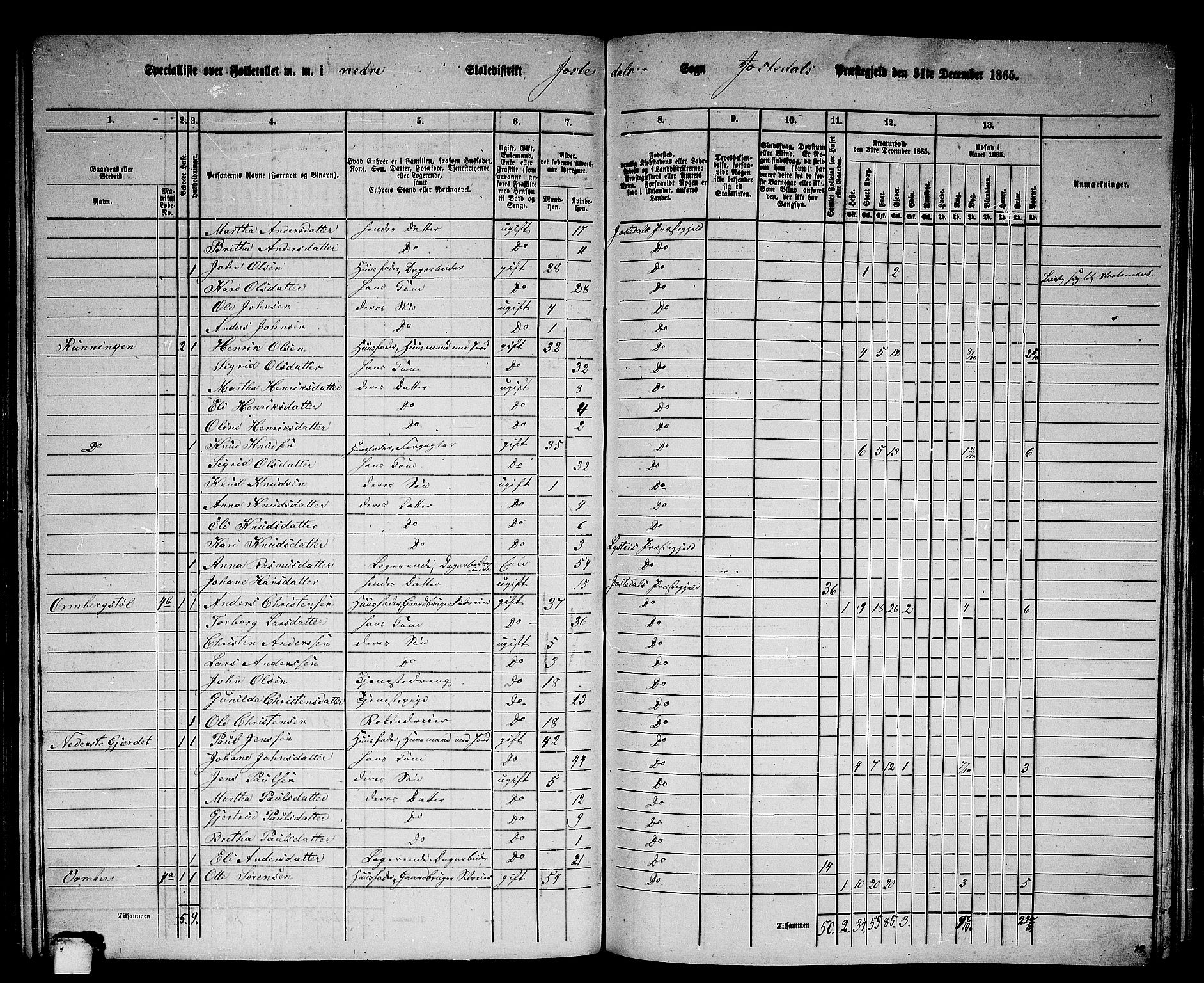 RA, Folketelling 1865 for 1427P Jostedal prestegjeld, 1865, s. 15