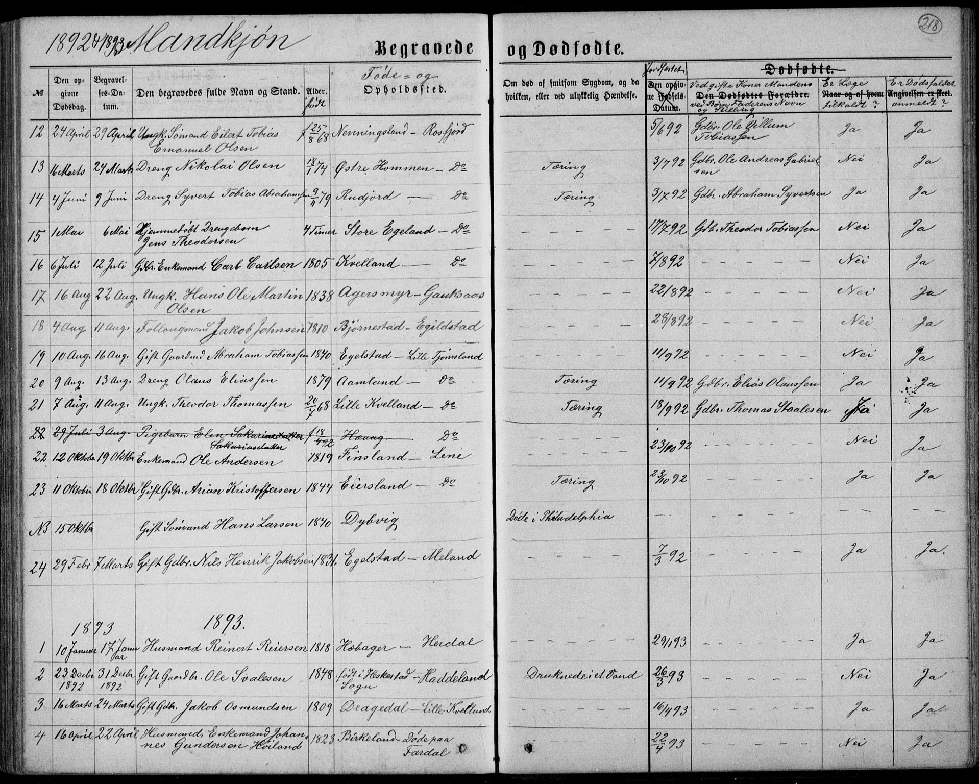 Lyngdal sokneprestkontor, AV/SAK-1111-0029/F/Fb/Fbc/L0004: Klokkerbok nr. B 4, 1878-1896, s. 218