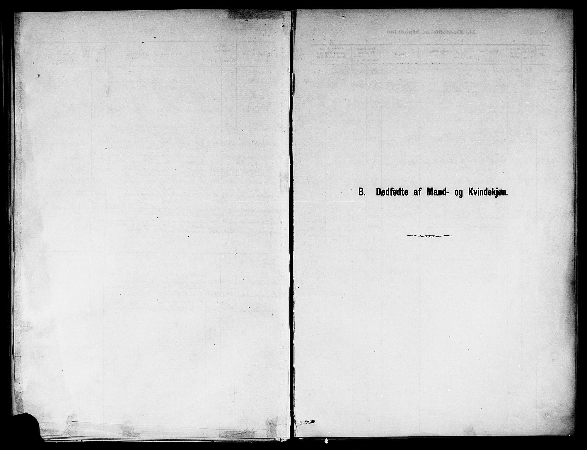 Ål kirkebøker, SAKO/A-249/F/Fb/L0001: Ministerialbok nr. II 1, 1882-1899