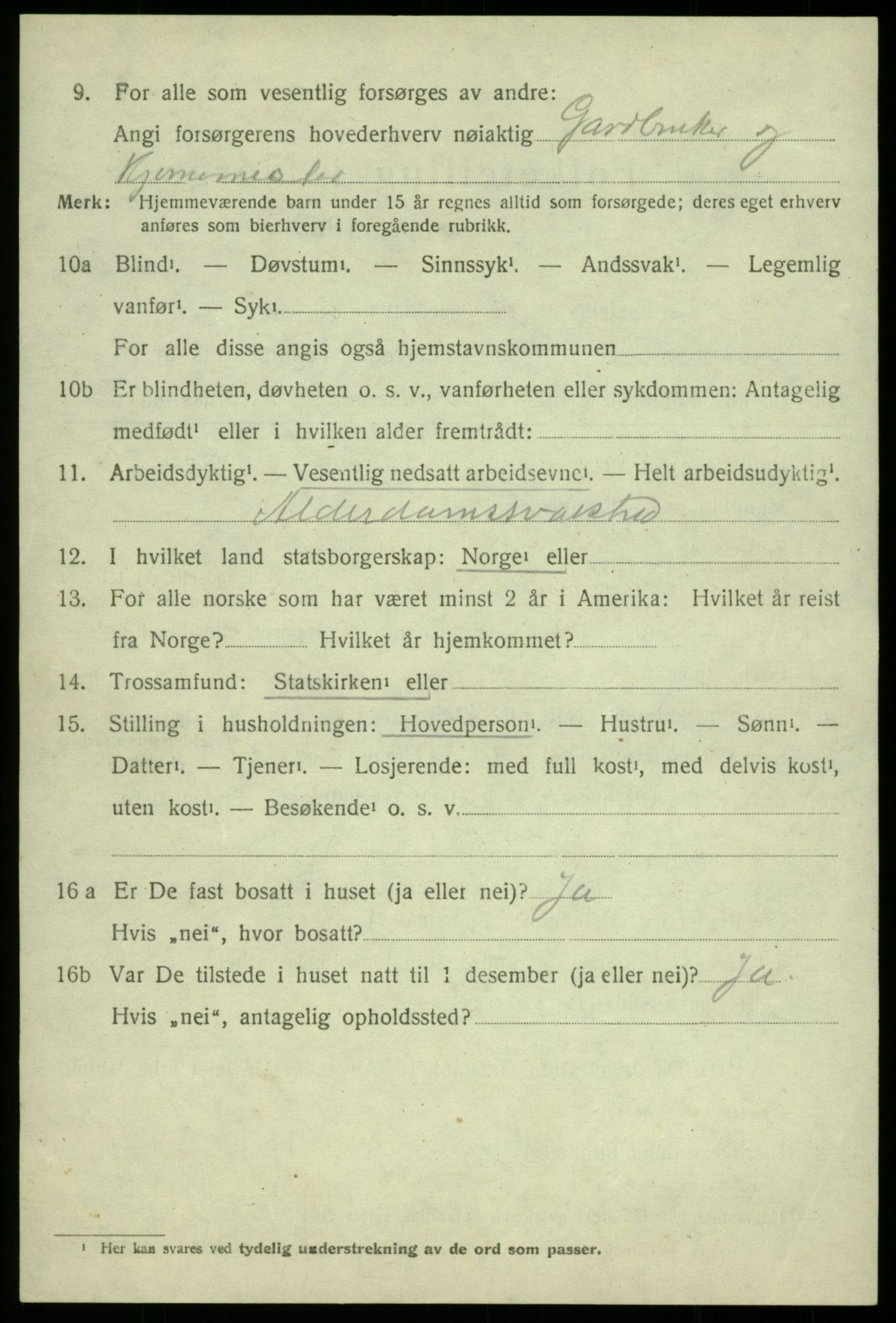 SAB, Folketelling 1920 for 1239 Hålandsdal herred, 1920, s. 255