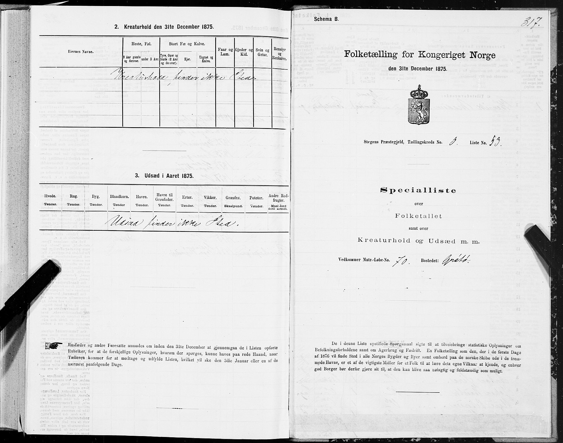 SAT, Folketelling 1875 for 1848P Steigen prestegjeld, 1875, s. 1317