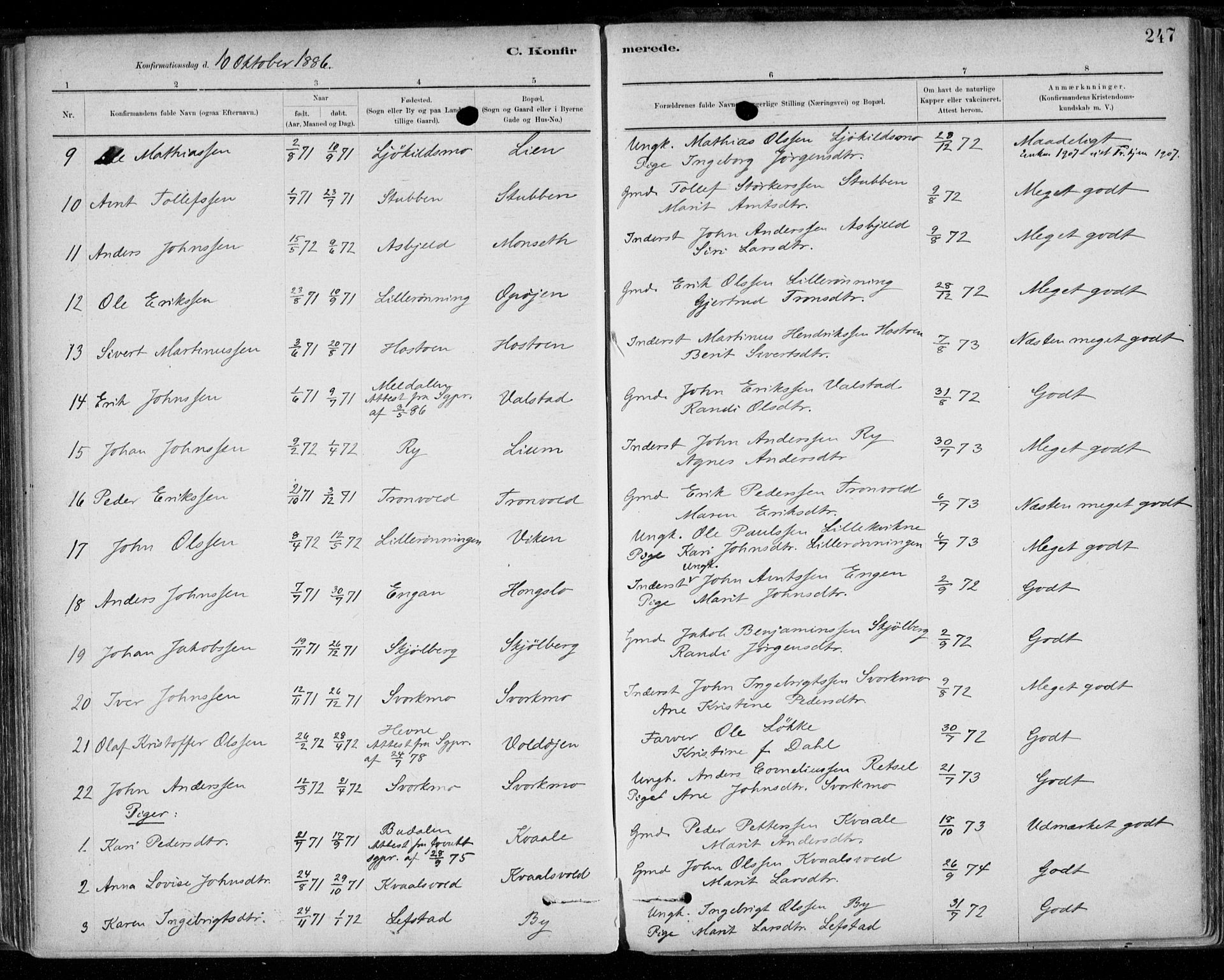 Ministerialprotokoller, klokkerbøker og fødselsregistre - Sør-Trøndelag, SAT/A-1456/668/L0809: Ministerialbok nr. 668A09, 1881-1895, s. 247