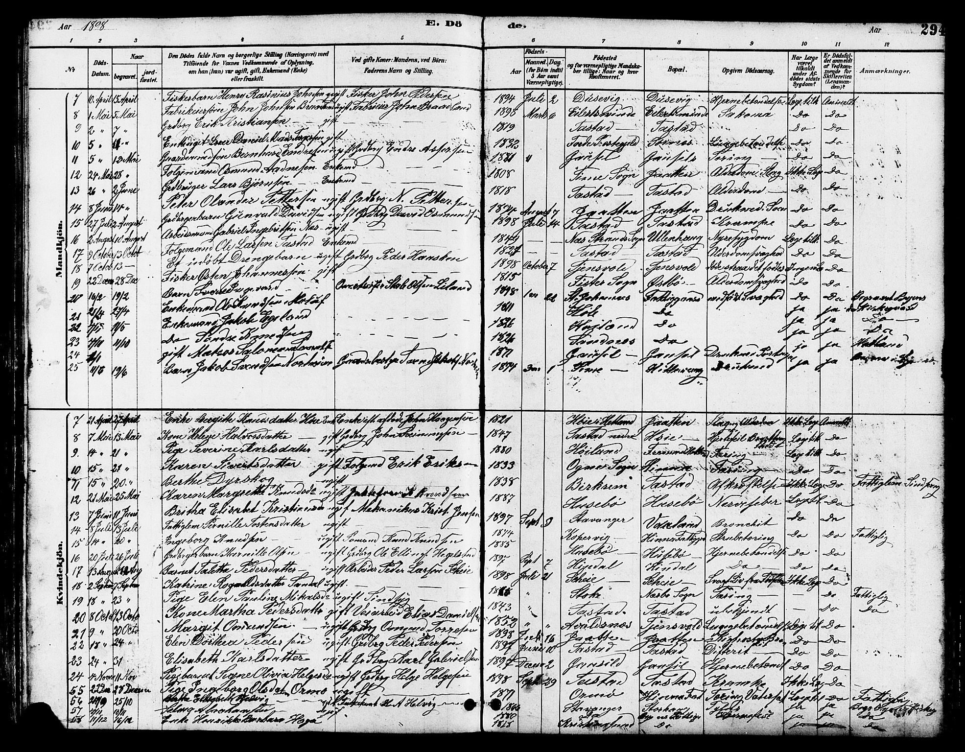 Hetland sokneprestkontor, SAST/A-101826/30/30BB/L0005: Klokkerbok nr. B 5, 1878-1910, s. 294