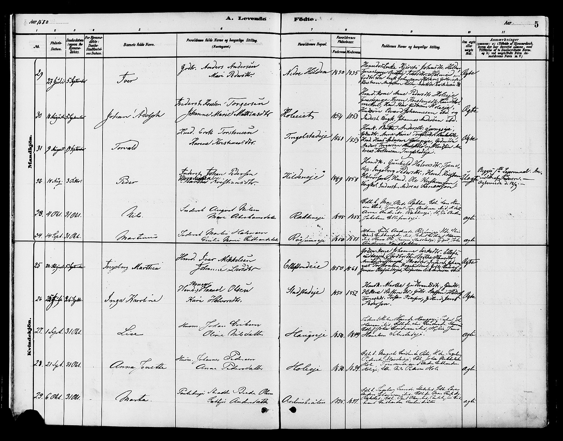 Gran prestekontor, AV/SAH-PREST-112/H/Ha/Haa/L0016: Ministerialbok nr. 16, 1880-1888, s. 5