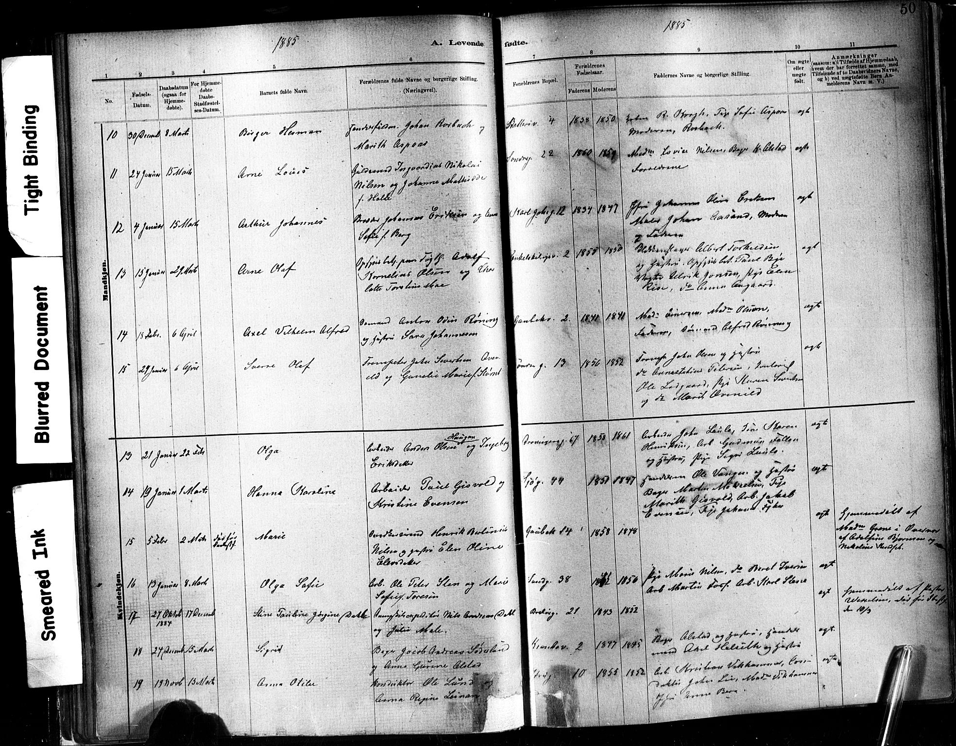 Ministerialprotokoller, klokkerbøker og fødselsregistre - Sør-Trøndelag, SAT/A-1456/602/L0119: Ministerialbok nr. 602A17, 1880-1901, s. 50