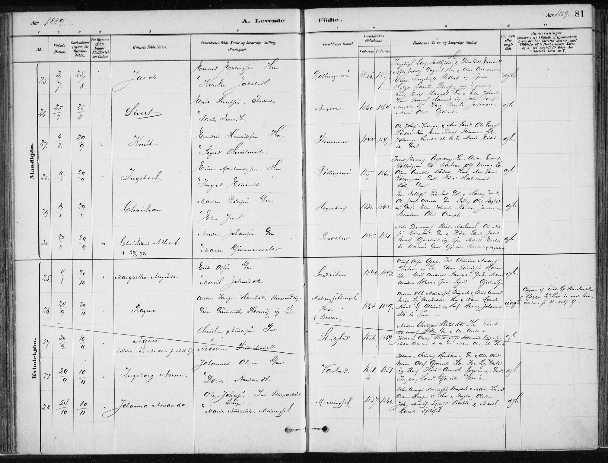 Ministerialprotokoller, klokkerbøker og fødselsregistre - Møre og Romsdal, SAT/A-1454/586/L0987: Ministerialbok nr. 586A13, 1879-1892, s. 81
