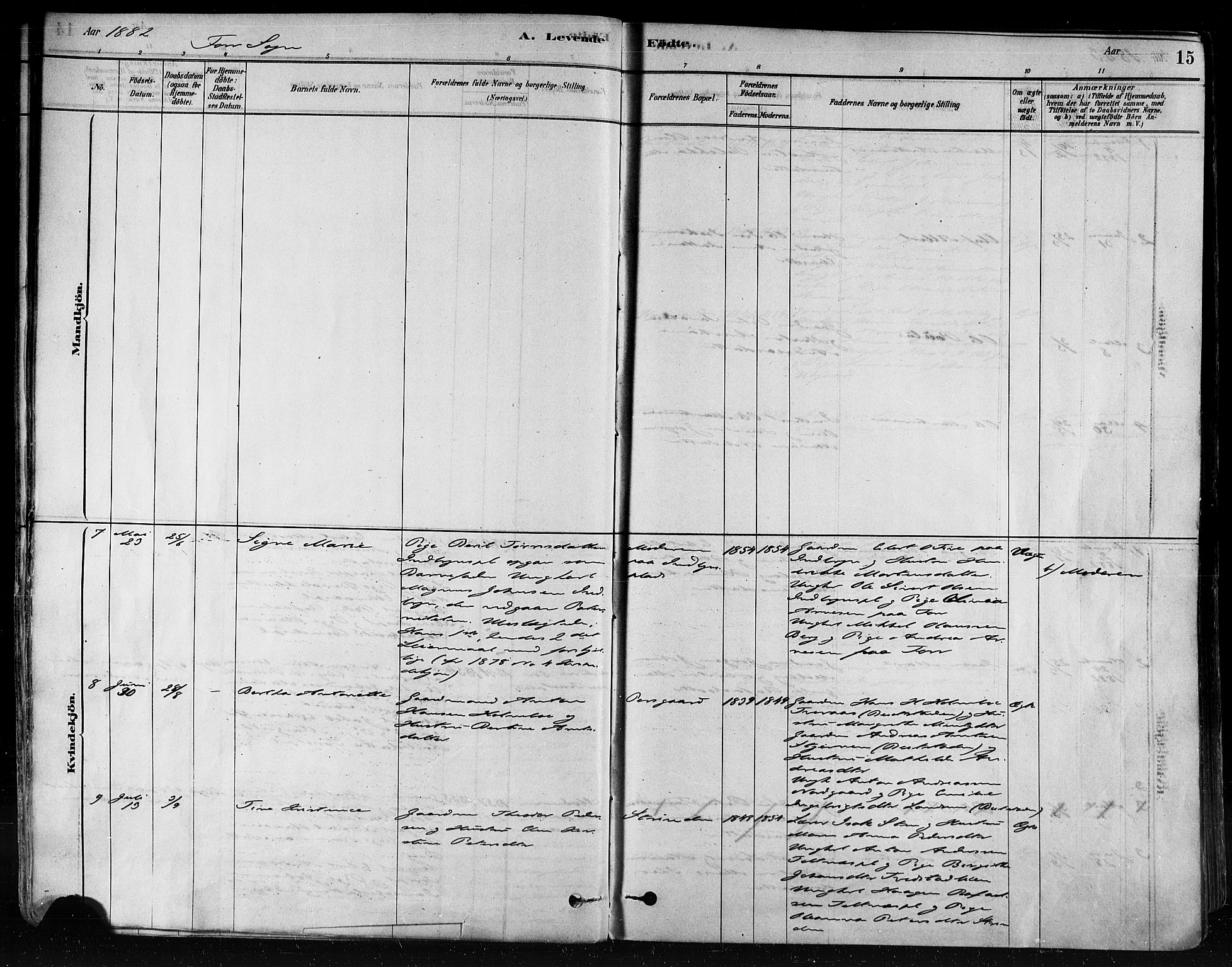 Ministerialprotokoller, klokkerbøker og fødselsregistre - Nord-Trøndelag, AV/SAT-A-1458/746/L0448: Ministerialbok nr. 746A07 /1, 1878-1900, s. 15