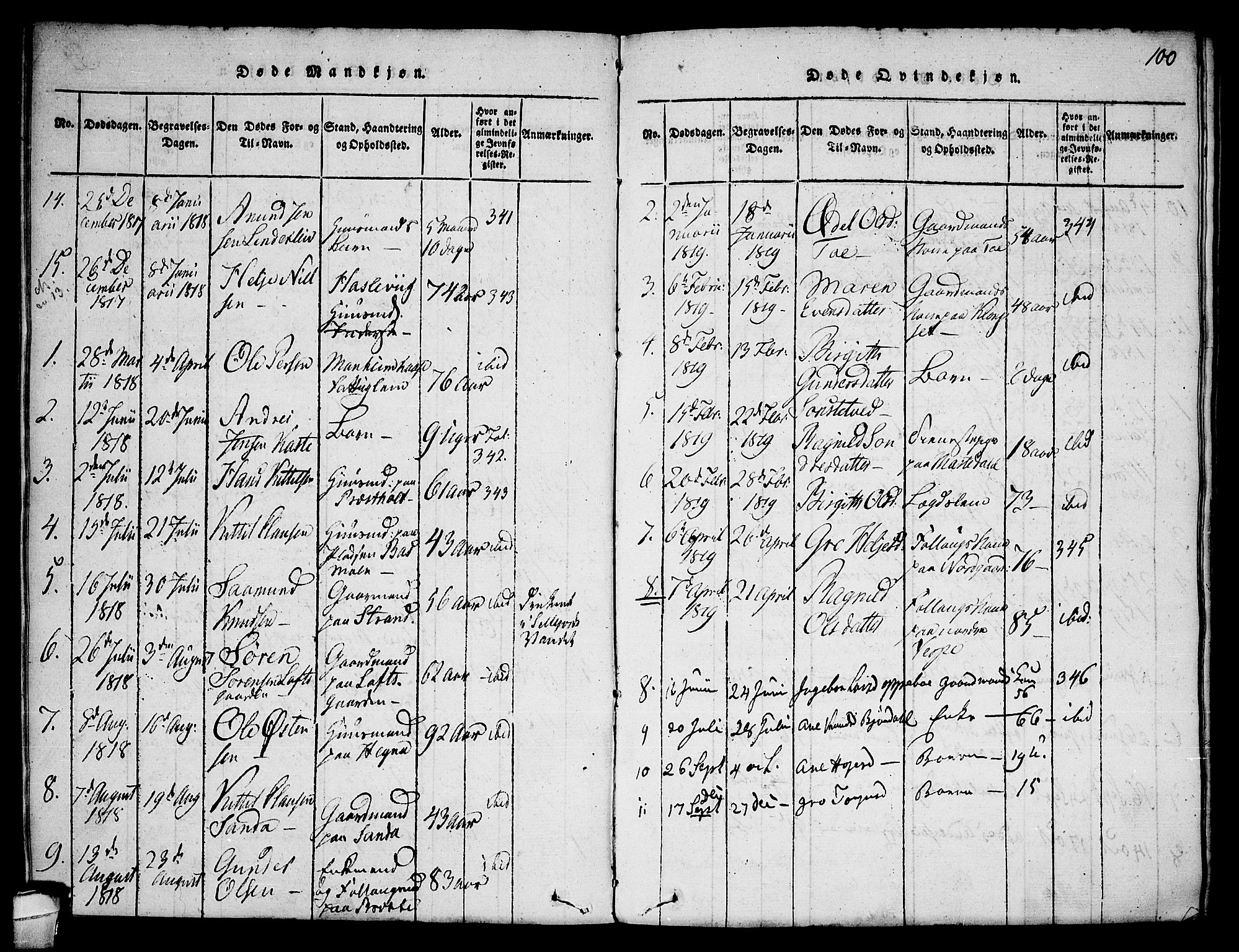 Seljord kirkebøker, AV/SAKO-A-20/F/Fa/L0010: Ministerialbok nr. I 10, 1815-1831, s. 100