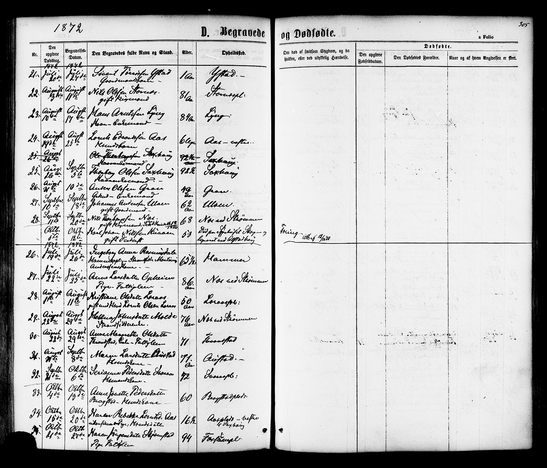 Ministerialprotokoller, klokkerbøker og fødselsregistre - Nord-Trøndelag, AV/SAT-A-1458/730/L0284: Ministerialbok nr. 730A09, 1866-1878, s. 305