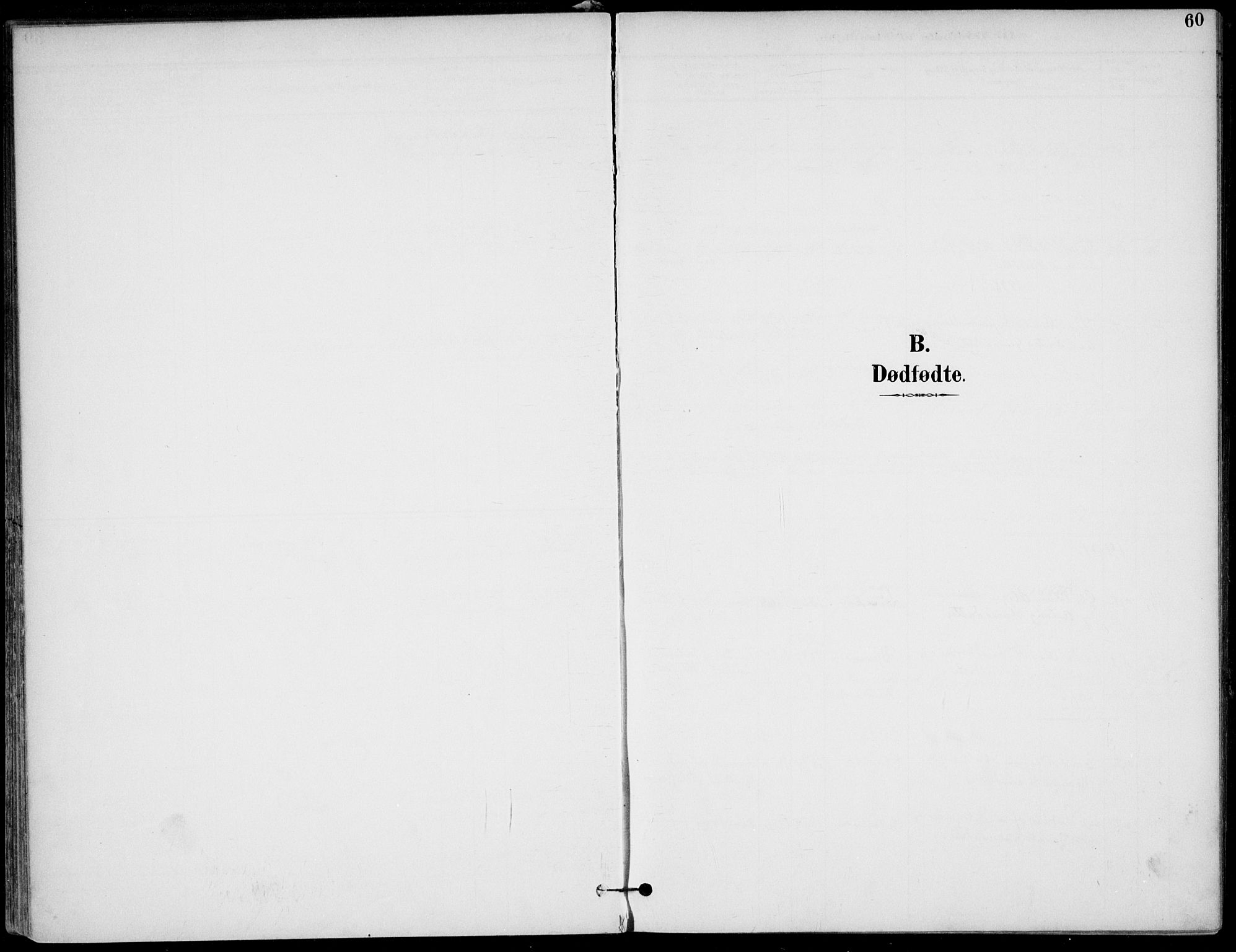 Lunde kirkebøker, AV/SAKO-A-282/F/Fa/L0003: Ministerialbok nr. I 3, 1893-1902, s. 60