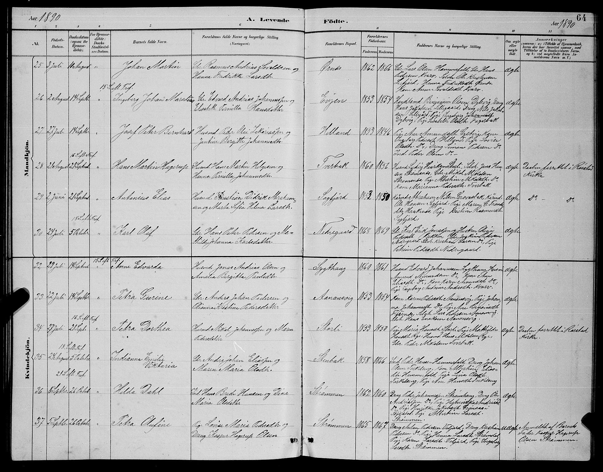 Ministerialprotokoller, klokkerbøker og fødselsregistre - Nordland, AV/SAT-A-1459/854/L0785: Klokkerbok nr. 854C01, 1883-1891, s. 64