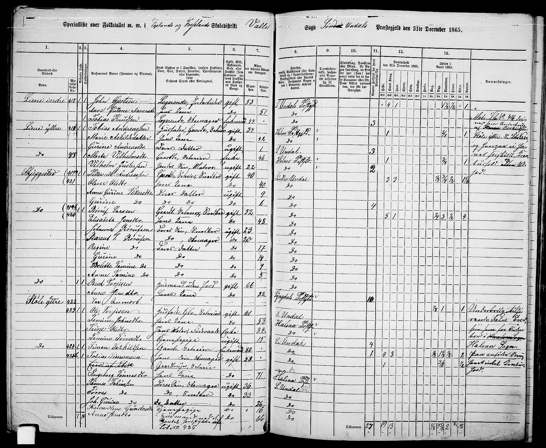 RA, Folketelling 1865 for 1029P Sør-Audnedal prestegjeld, 1865, s. 65