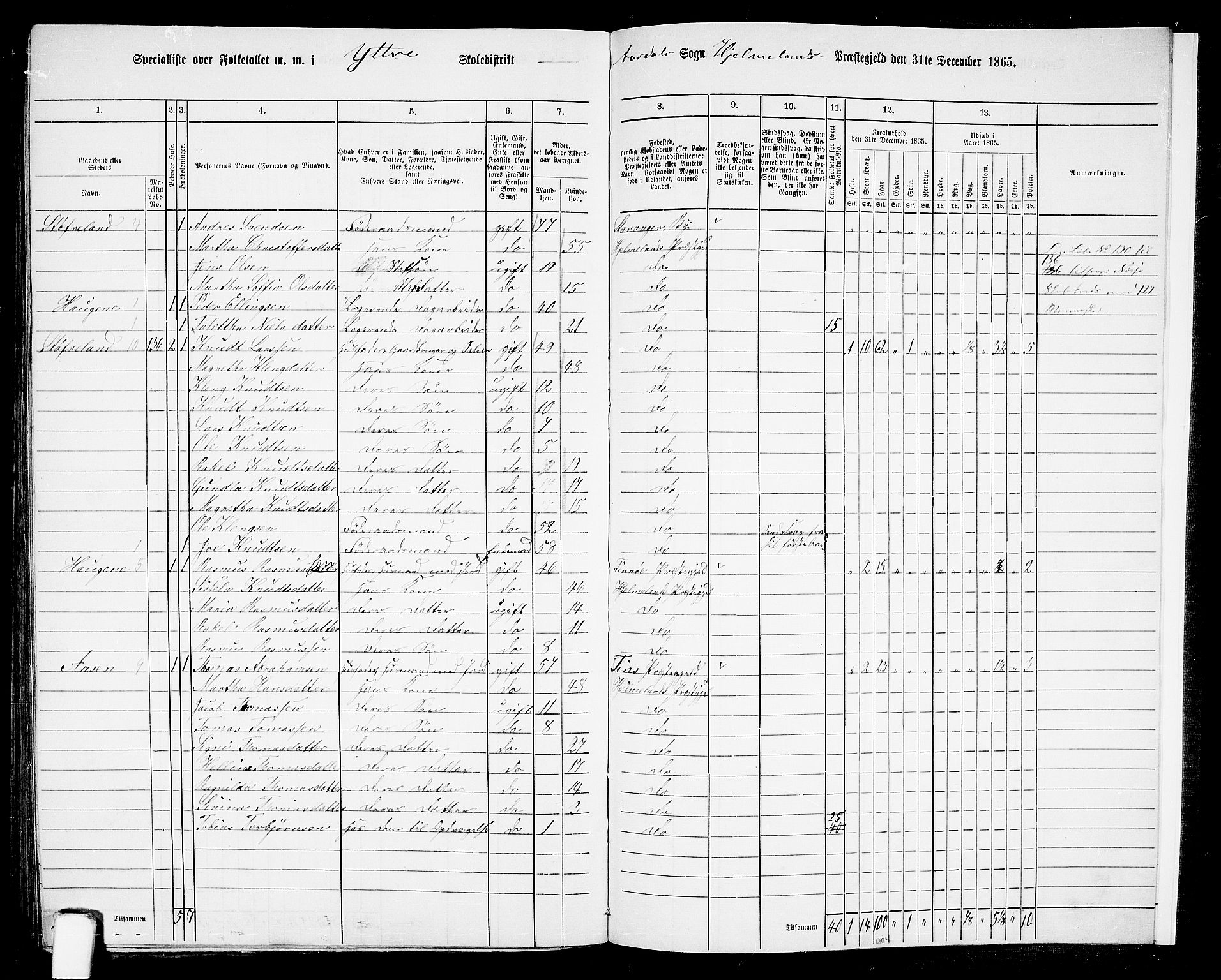 RA, Folketelling 1865 for 1133P Hjelmeland prestegjeld, 1865, s. 199