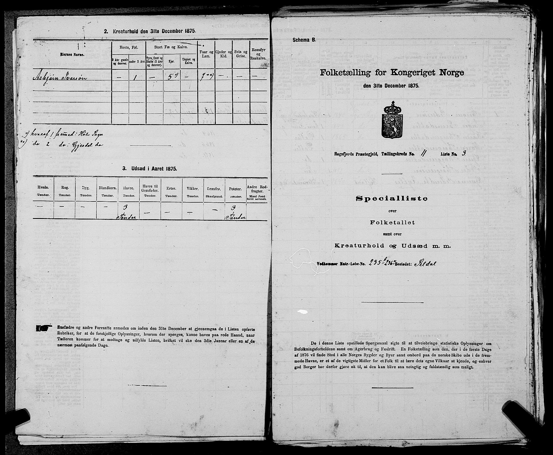 SAST, Folketelling 1875 for 1128P Høgsfjord prestegjeld, 1875, s. 894