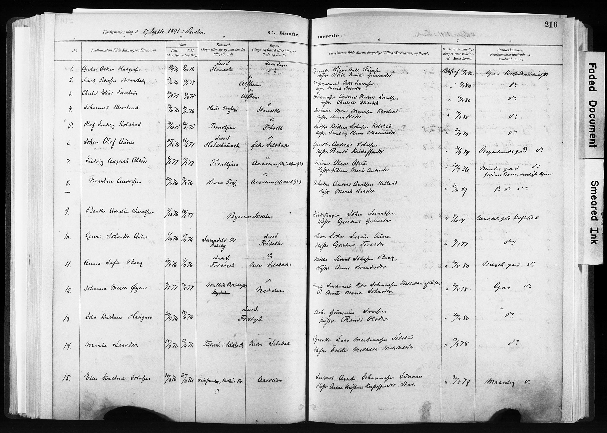 Ministerialprotokoller, klokkerbøker og fødselsregistre - Sør-Trøndelag, AV/SAT-A-1456/606/L0300: Ministerialbok nr. 606A15, 1886-1893, s. 216