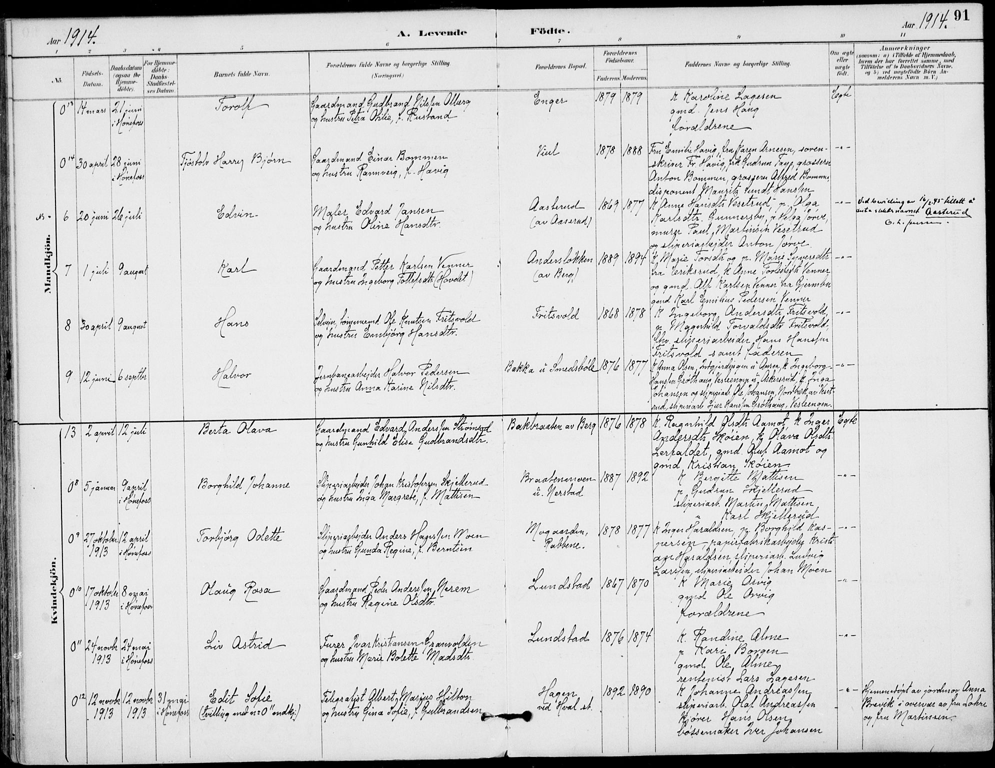 Haug kirkebøker, AV/SAKO-A-604/F/Fa/L0001: Ministerialbok nr. 1, 1885-1917, s. 91