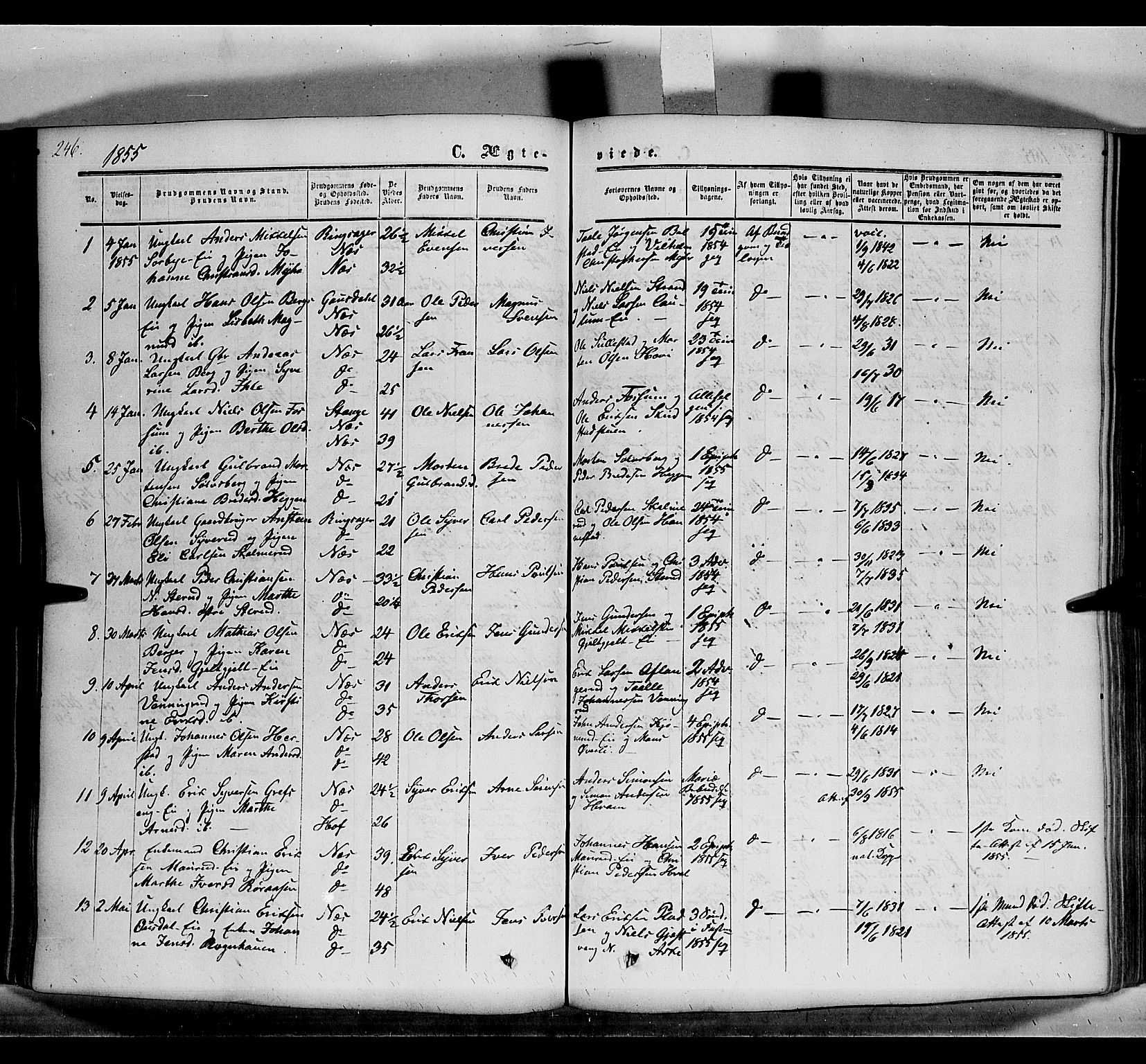 Nes prestekontor, Hedmark, AV/SAH-PREST-020/K/Ka/L0004: Ministerialbok nr. 4, 1852-1886, s. 246