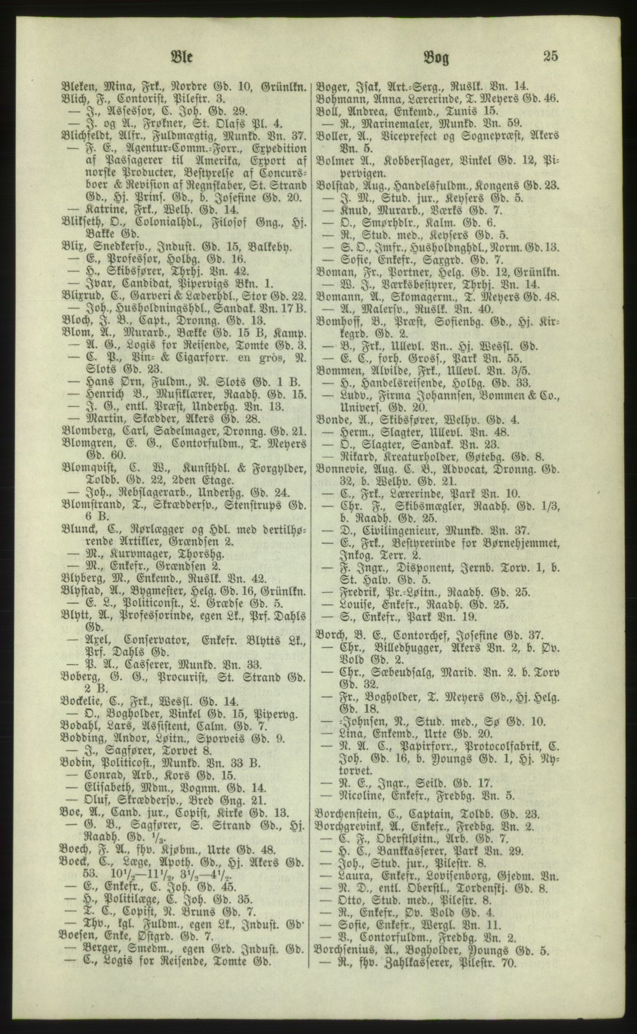 Kristiania/Oslo adressebok, PUBL/-, 1881, s. 25