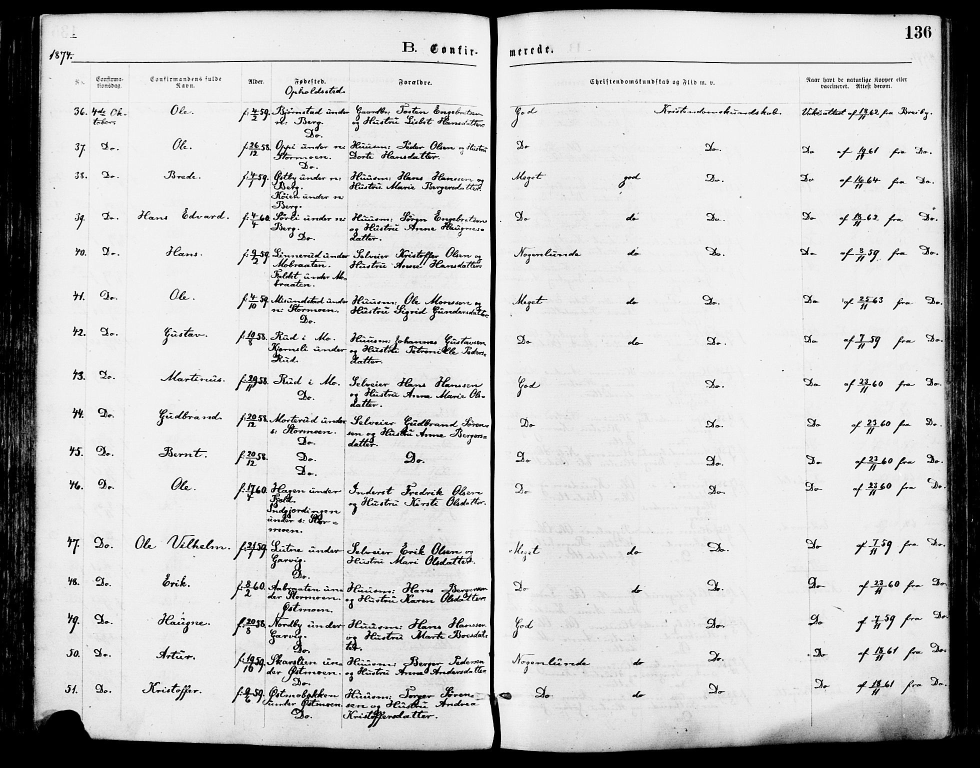 Nord-Odal prestekontor, AV/SAH-PREST-032/H/Ha/Haa/L0005: Ministerialbok nr. 5, 1874-1885, s. 136